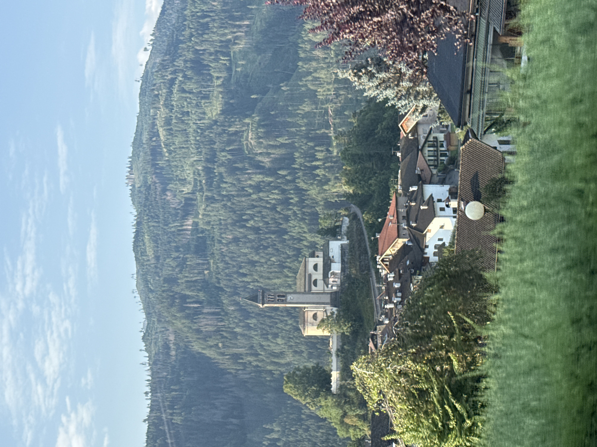 The image depicts a scenic view of a village nestled in a valley at the base of a densely forested mountain. In the foreground, the tops of green foliage are visible, suggesting a low vantage point. The middle ground is dominated by a cluster of buildings with terracotta roofs, characteristic of Italian architecture, and some trees. A prominent church with a tall bell tower and a clock face stands on a slight rise overlooking the village. The background consists of a steep mountainside covered in a thick evergreen forest, with some patches of lighter terrain and scattered trees on the upper slopes. The sky is a clear blue with a few wispy clouds. The village appears to be Castello di Fiemme, Italy, based on the architectural style and mountainous setting. No people or explicit actions are discernable in the image.