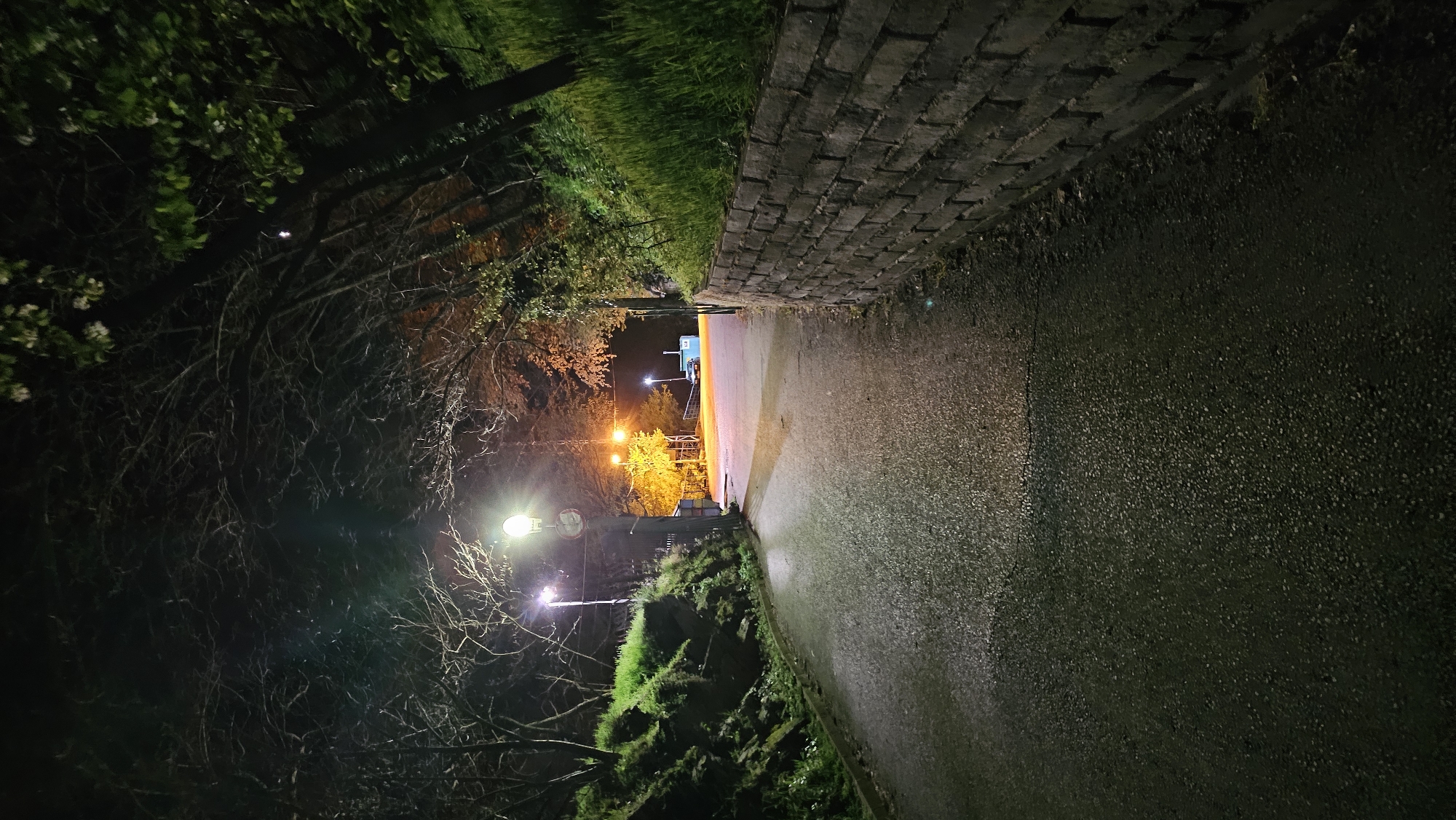 The image depicts a dimly lit path at night. On the right, a low brick wall runs alongside the path. On the left, there are trees and a grassy slope. In the distance, streetlights illuminate a basketball court with a blue structure and basketball hoop. The path appears to be wet, reflecting the light. The scene is a street in Karlovo, Bulgaria.