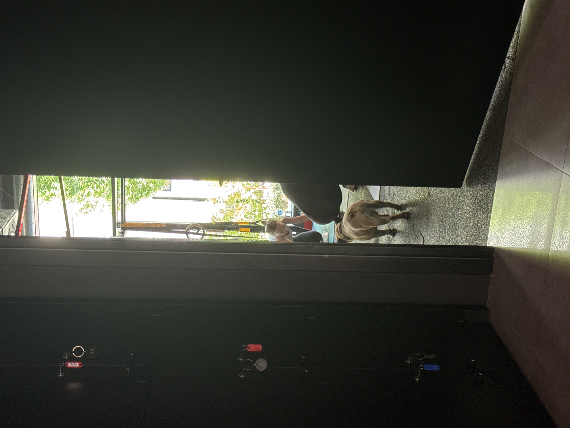 The image depicts a partial view through a narrow opening between dark gray cabinets or lockers, likely in an indoor storage facility. In the background, visible through the opening, is a partially obstructed scene: a person is bending over, seemingly attending to something on the ground. A light-brown dog is standing on the ground near the person. A bicycle is also partially visible. The environment beyond is bright with sunlight and hints of greenery, suggesting an outdoor location. The location is Belgrade, Serbia.