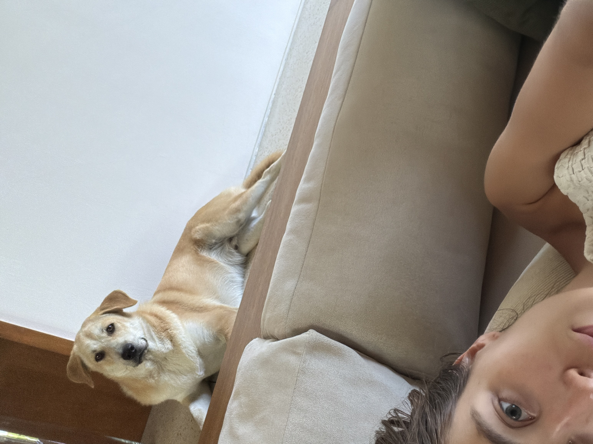 A medium-shot, canted-angle view features a fair-skinned person in the lower right and a tan-colored dog on the left. The person's face, with short, dark, curly hair, and one visible blue eye, is angled upward toward the camera. The dog lies on its side, with its head raised and facing the camera, displaying a black nose and visible eyes. A light-colored upholstered couch takes up a portion of the central and right side of the image. In the upper left corner, a white wall is visible. At the bottom left, a wooden architectural detail is discernible. The photograph was taken from an approximate overhead perspective. The geographical location of Mas, Indonesia, is not discernible in this image.