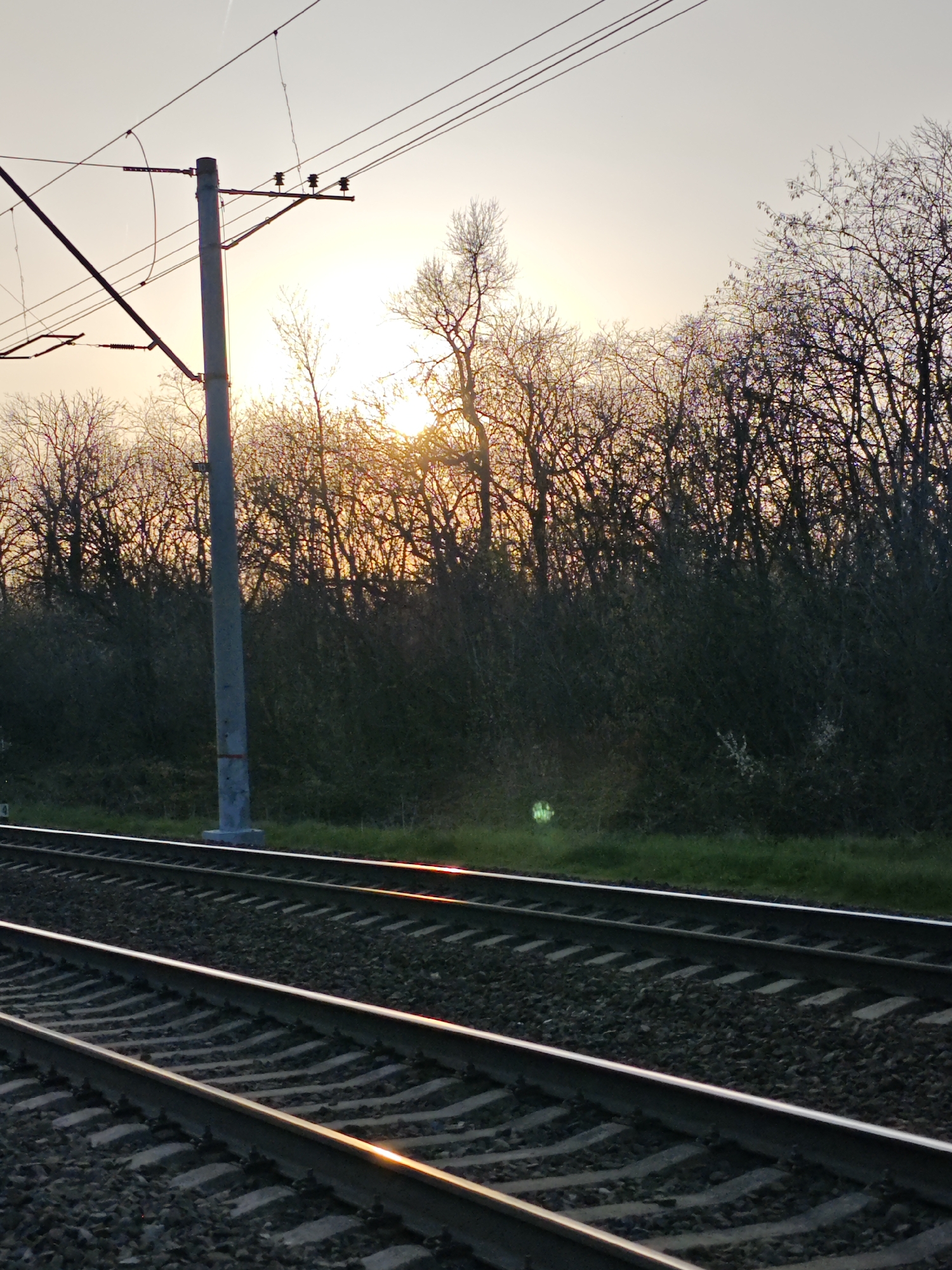 The image depicts a section of railway track running through an area of vegetation, likely in the outskirts of a city or rural landscape. The foreground features the parallel steel rails of the track, embedded in ballast. A gray, metal support pole stands alongside the track. Overhead lines related to the railway infrastructure are visible against the sky. In the background, a dense line of trees and bushes stretches across the scene, partially obscuring the setting sun. Patches of green grass can be seen along the edge of the track.
There are no indications this image is from Pyatigorsk, Russia.