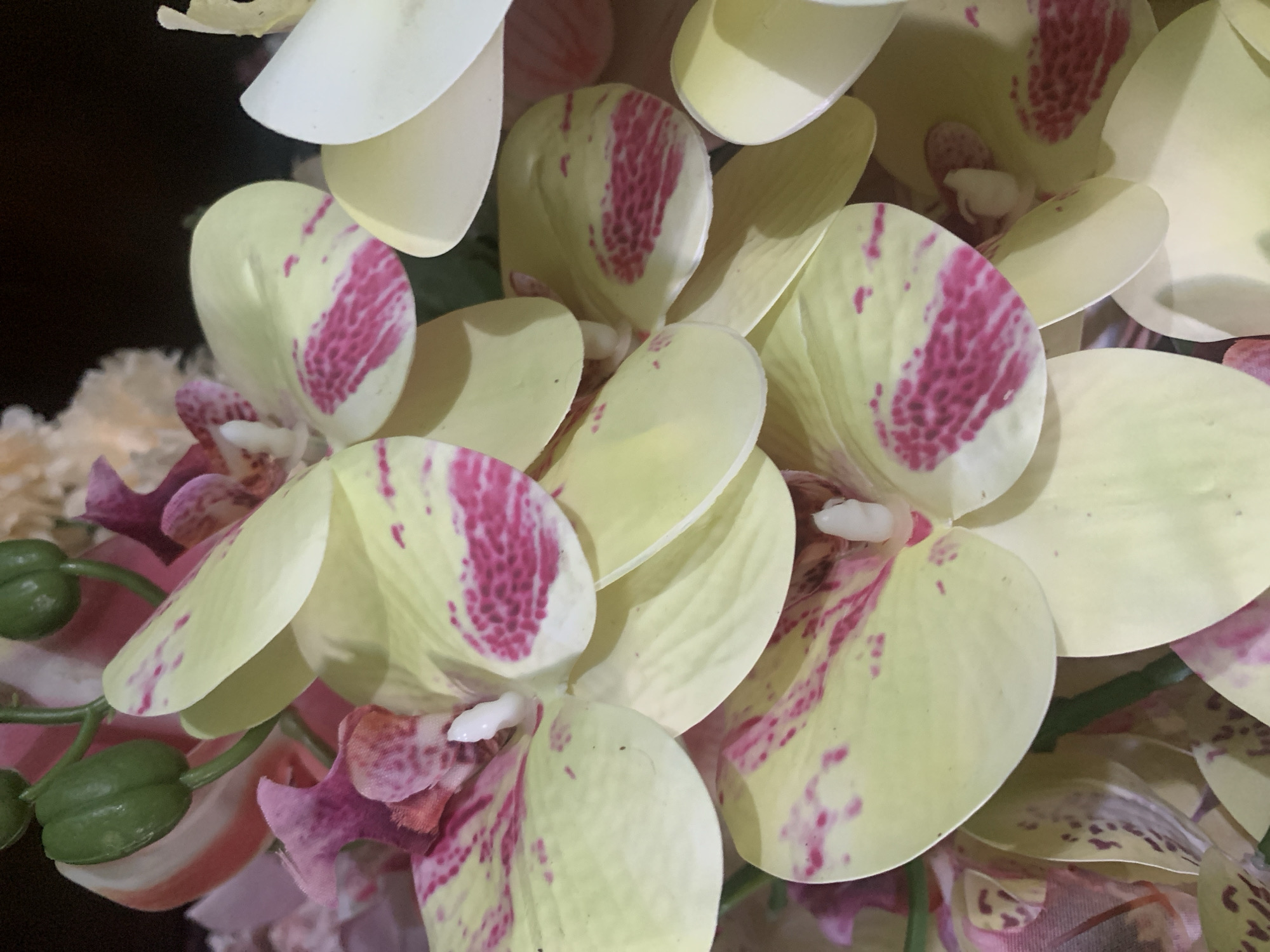 This is a close-up, indoor, eye-level, still photograph of a cluster of artificial orchid flowers. The flowers are primarily pale yellow with splashes of vibrant pink. Some of the petals are slightly creased or bent, indicating they are artificial. In the upper left corner, there are two unopened green buds. The background is dark and out of focus, with a hint of lighter colored flowers or foliage visible at the top. The lighting is soft and diffuse. There are no people or discernible environmental features that would suggest a specific location within Kuala Pembuang, Indonesia.
