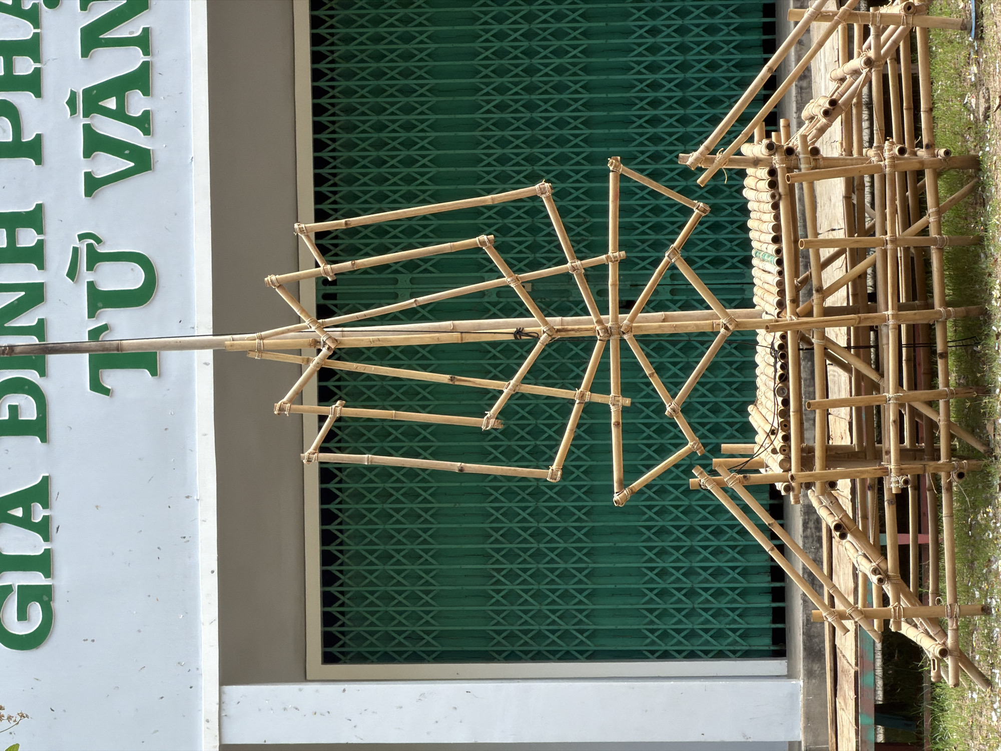 An outdoor scene features an intricate bamboo structure standing prominently in the foreground, likely an artistic installation or temporary decorative piece. The structure consists of numerous bamboo poles joined together with twine or wire. A central vertical pole supports radiating arms that form a large, wheel-like or star-shaped element, creating a complex geometric pattern. To the right, another part of the bamboo construction appears more scaffold-like, with horizontal and vertical poles forming a stable base.
In the background, a large green metal roller shutter door provides a textured backdrop, indicating a commercial or institutional building. To the far left, a portion of a white building is visible, featuring large, raised green letters. The text, in Vietnamese, reads "GIA ĐÌNH PHẬT TỬ VĂN THÀNH," which translates to "Văn Thành Buddhist Family" or "Văn Thành Buddhist Youth Group," suggesting a religious or community center. Patches of green grass are visible on the far right, indicating the ground surface.
The image is captured during the daytime under bright, clear conditions, as evidenced by the sharp details and lack of harsh shadows. No people are visible, focusing attention solely on the constructed environment. The detailed craftsmanship of the bamboo structure, set against the green shutter and white building, implies a cultural or ceremonial context, aligning with the location context of Cam Ranh, Vietnam.