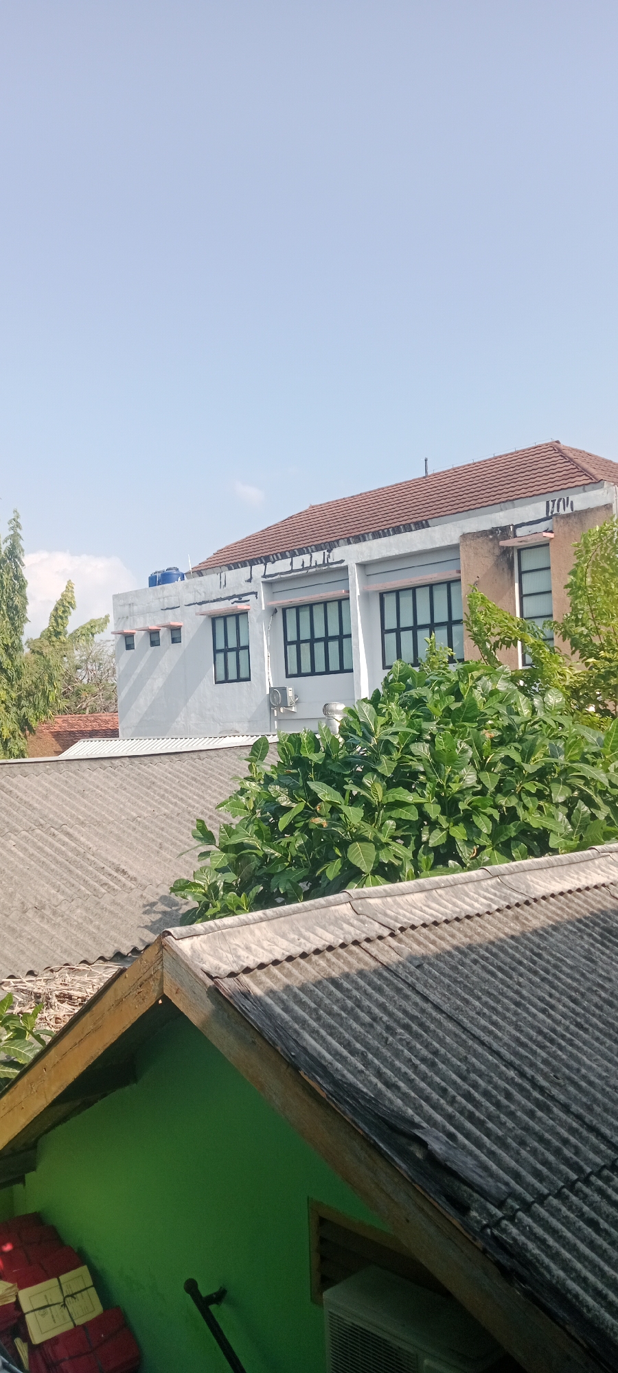 The image shows a view of rooftops and buildings under a clear blue sky in Tuban, Indonesia. In the foreground, there are two corrugated metal roofs, the closer one is angled and shows some wear, with a bright green painted wall visible beneath it, and a stack of red-wrapped items. Behind this, another corrugated metal roof is visible. In the mid-ground, a large, lush green tree with broad leaves dominates the scene. Beyond the tree, a modern-looking building with a light-colored facade and a tiled roof is visible. This building has several large windows with dark frames. A blue water tank is visible on the roof of this building, along with some architectural features like overhangs. The sky is clear and bright. The scene suggests an outdoor environment in a residential or commercial area.
