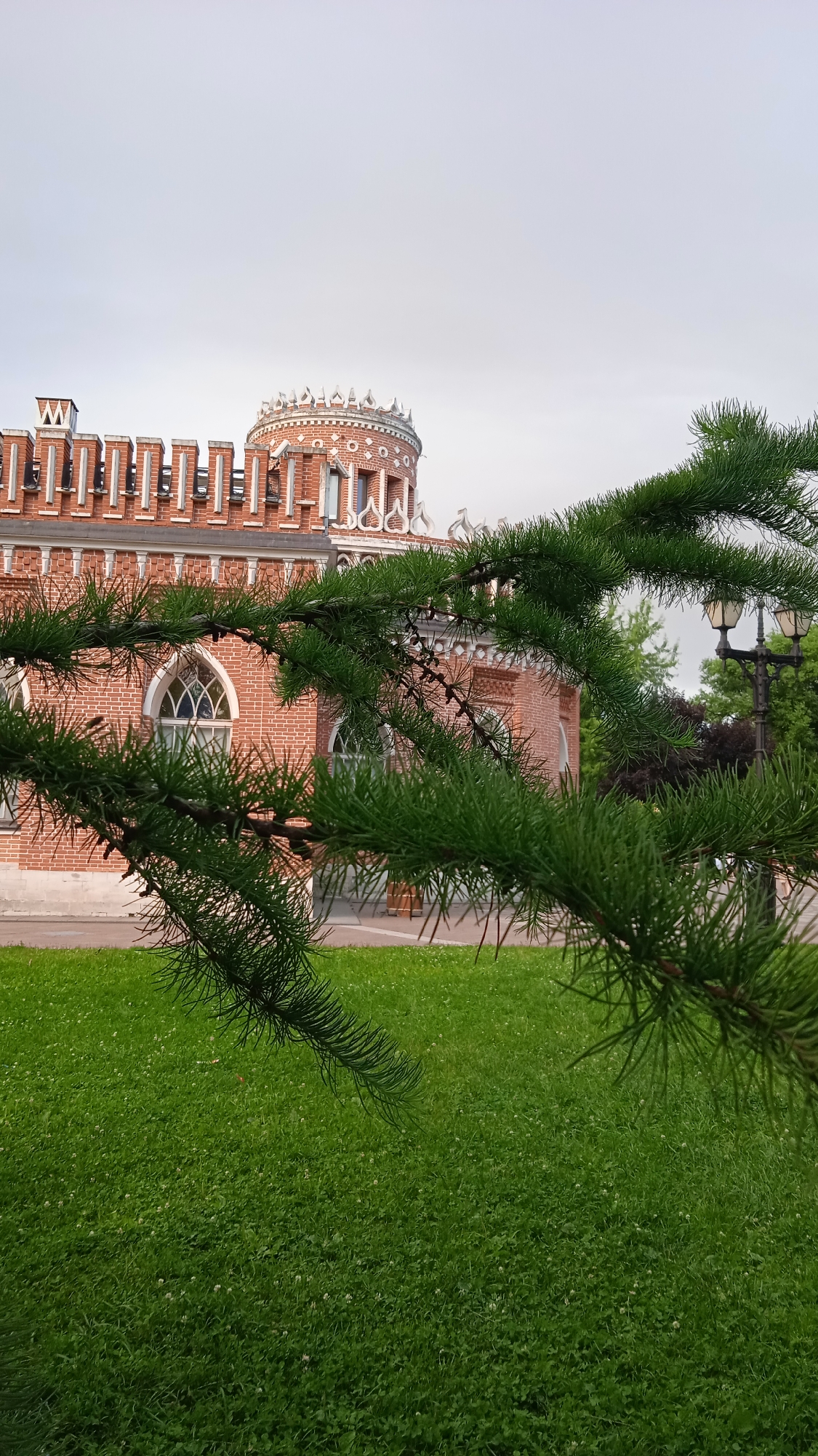 This image depicts the red brick historic building of the Palace of Tsaritsyno in Moscow, Russia. The building features intricate architectural details, including crenellated parapets and a prominent round tower with decorative elements. In the foreground, a lush green lawn is visible, interspersed with small white flowers, suggesting a park-like setting. A branch of a conifer tree with green needles extends into the frame from the left, partially obscuring the view of the building. In the background, a traditional lamppost with multiple lights stands to the right, further contributing to the historic ambiance of the scene. The sky is overcast, indicating a possibly cool or temperate day.