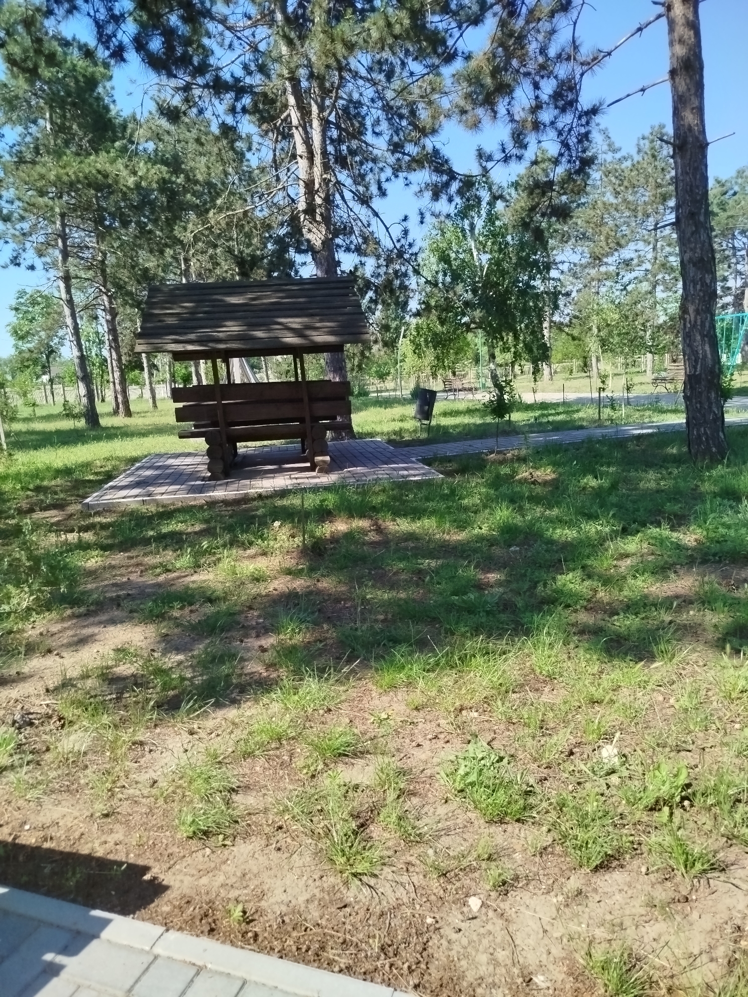 An outdoor, low-angle, full shot shows a wooden picnic shelter with benches in a park on a sunny day. The shelter is located on a paved, brick-like surface. Tall pine trees and deciduous trees surround the shelter, with a clear blue sky visible above. The ground is covered in grass and dirt, with shadows from the trees falling on the grass. In the background, a paved path leads through the park, with additional benches and trees visible. A faint green fence can be seen in the far background.