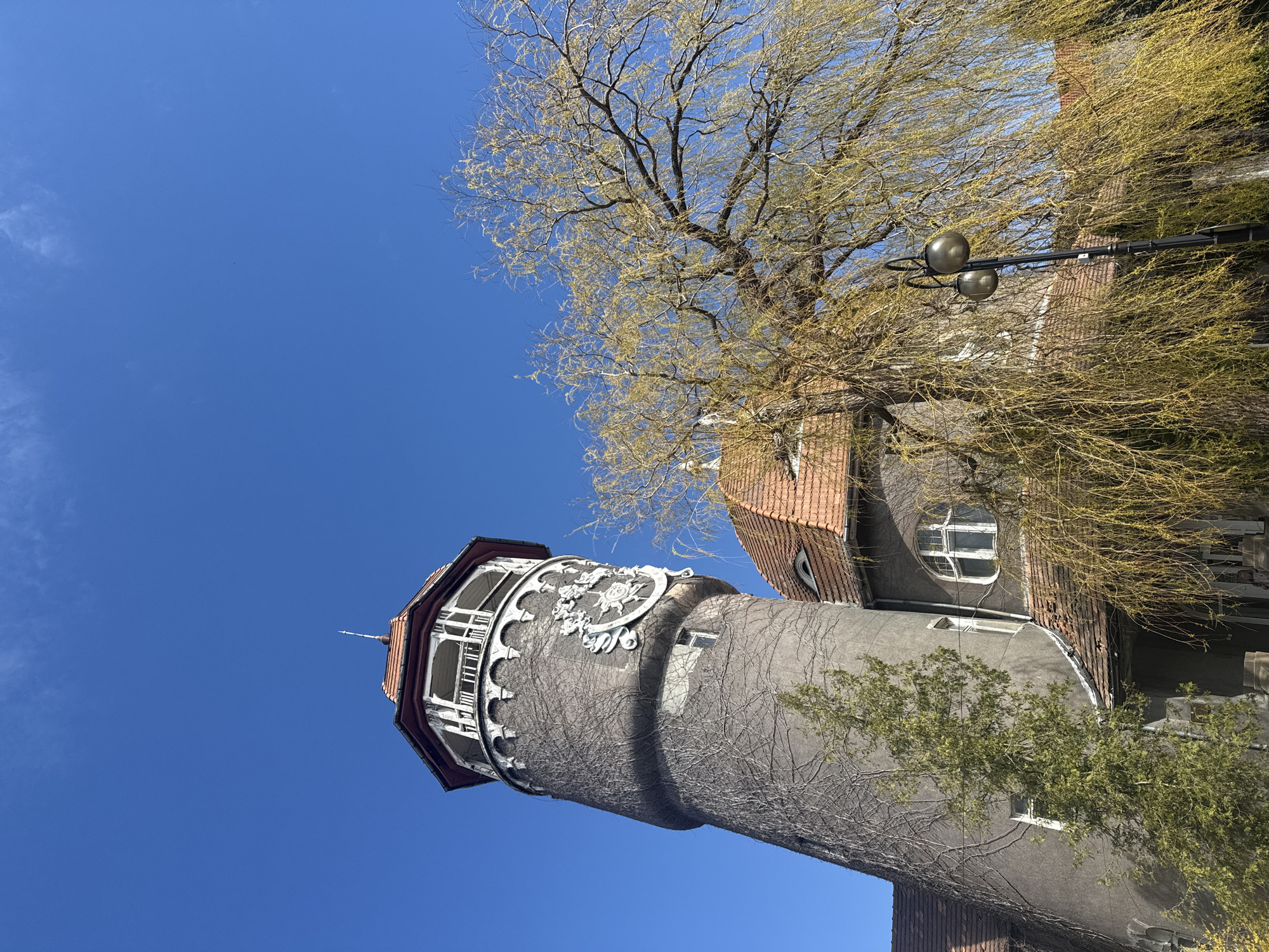 The image displays a picturesque scene featuring a historic water tower and an adjacent building, set against a vibrant clear blue sky in Svetlogorsk, Russia.
The primary subject is a tall, cylindrical water tower, constructed from grey stone or concrete, partially covered by climbing vines. Near its upper section, it boasts an ornate decorative band, likely a former clock face, with intricate white and grey sculptural elements. Above this, an open, octagonal observation deck with white balustrades and a red-tiled roof crowns the tower, featuring a small finial at its apex.
To the right of the tower, a multi-story building with a matching red-tiled roof is visible. A distinctive large, round window is prominent on its upper facade, contributing to the older European architectural style of the structures.
The scene is framed by trees, some appearing bare with delicate branches, while others are adorned with fresh, yellow-green foliage, suggesting the season is spring or early summer. A lamppost is partially obscured by the dense tree canopy on the right.
The sky is a brilliant, cloudless blue, indicating a bright and sunny day. The clear light illuminates the buildings and trees, creating a serene and pleasant atmosphere. No activity or specific event is taking place; the image is a static architectural and landscape shot. There is no visible text. The overall impression is one of historical charm and natural beauty under clear daylight.