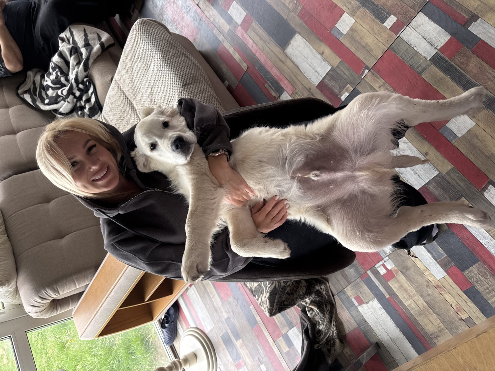 A woman with blonde hair is holding a large, white dog upside down in her lap. The dog is lying on its back, its legs splayed out. The woman is smiling and looking at the camera. They are sitting in a chair on a floor made of wood-patterned tiles with red, white, black and brown colors. In the background is a beige sofa, and out of the window there is greenery. The location is Ptichnoye, Russia.