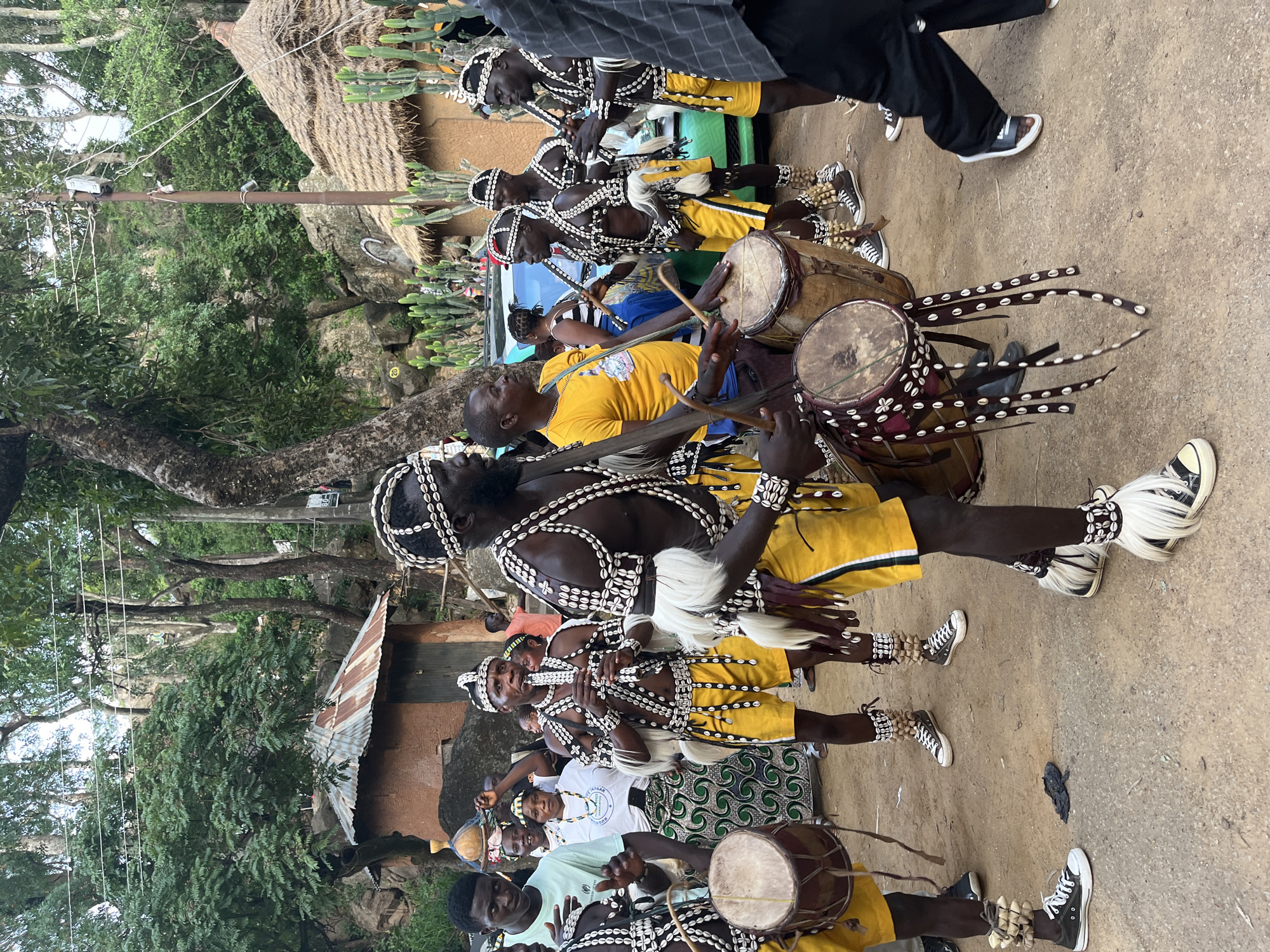 In the city of Jos, Nigeria, a group of men in traditional yellow attire adorned with cowrie shells and white fur are engaged in a drumming and music performance. The main subject, a man in the foreground, plays a flute while several others beat drums. The men's outfits include headbands, necklaces, bracelets, and leg bands, all embellished with cowrie shells. They wear yellow shorts and have white fur accents around their legs and arms. Some of the drummers are also adorned with similar shell and fur decorations.
In the background, a woman in a white shirt and patterned skirt stands watching, and other individuals are visible, some partially obscured. The environment appears to be an outdoor setting with traditional huts featuring thatched roofs and mud walls. Cactus plants are scattered around the huts, and trees with lush green foliage dominate the upper portion of the image. The ground is a dusty, earthy surface. The scene suggests a cultural celebration or performance taking place in a village-like setting within Jos.
