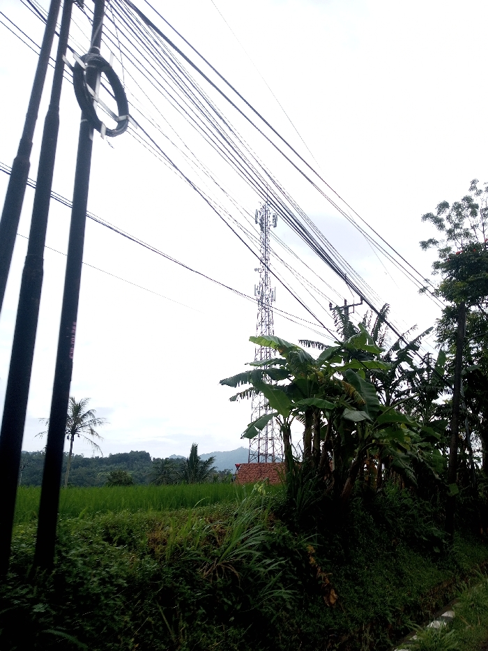 The scene, located in Kamji Na-Yekha, Bhutan, depicts a rural landscape under an overcast sky. In the immediate foreground on the left, three dark, vertical utility poles are visible, with multiple black electrical or communication wires extending horizontally across the upper portion of the frame. A coiled bundle of wires is secured to the leftmost pole. In the midground, a tall, grey metallic cellular or telecommunications tower, equipped with multiple antenna arrays, stands prominently. Adjacent to the tower's base and extending to the right, a dense cluster of large-leafed plants, consistent with banana trees, partially obscures the view. To the left of these plants, a vibrant green cultivated field, likely rice paddies, stretches towards the horizon. A reddish-brown tiled roof of a structure is partially visible behind the foliage near the base of the tower. Another utility pole with wires is present further to the right, behind the banana trees. The background consists of distant forested hills and mountains. A single palm tree is visible on the far left horizon, above the green field. No individuals, animals, or discernible actions are present in the image.