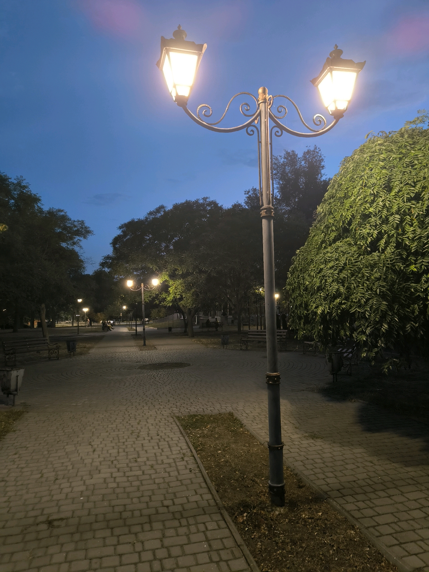 A park path illuminated by streetlights at dusk. The path is paved with interlocking rectangular bricks and is bordered by grass and fallen leaves. Several benches are visible along the path, some occupied by people. Trees line the sides of the path, casting shadows in the dim light. A large, leafy tree with drooping branches is prominent on the right side of the image. The sky is a deep blue, indicating twilight. The scene appears to be a public park or walkway in Mykolaiv, Ukraine.