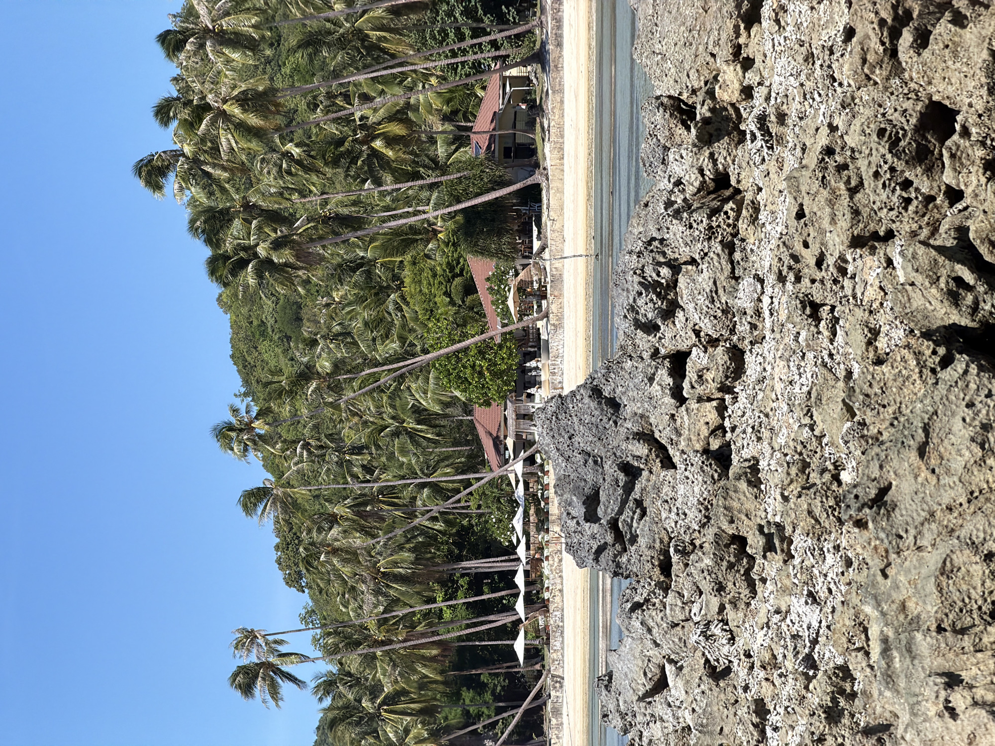 The image depicts a tropical beach scene in Baan Thong Krut, Thailand. In the foreground, large, rough, gray rocks are visible, partially submerged in clear blue water. Beyond the rocks, a sandy beach stretches out, lined with numerous tall palm trees. Several white umbrellas are set up on the beach, suggesting a resort or seating area. Behind the palm trees, a low-rise building with a reddish-brown roof is visible, appearing to be part of a resort or restaurant. The background consists of a lush, green, tree-covered hillside under a clear blue sky. No people are clearly discernible in the image.