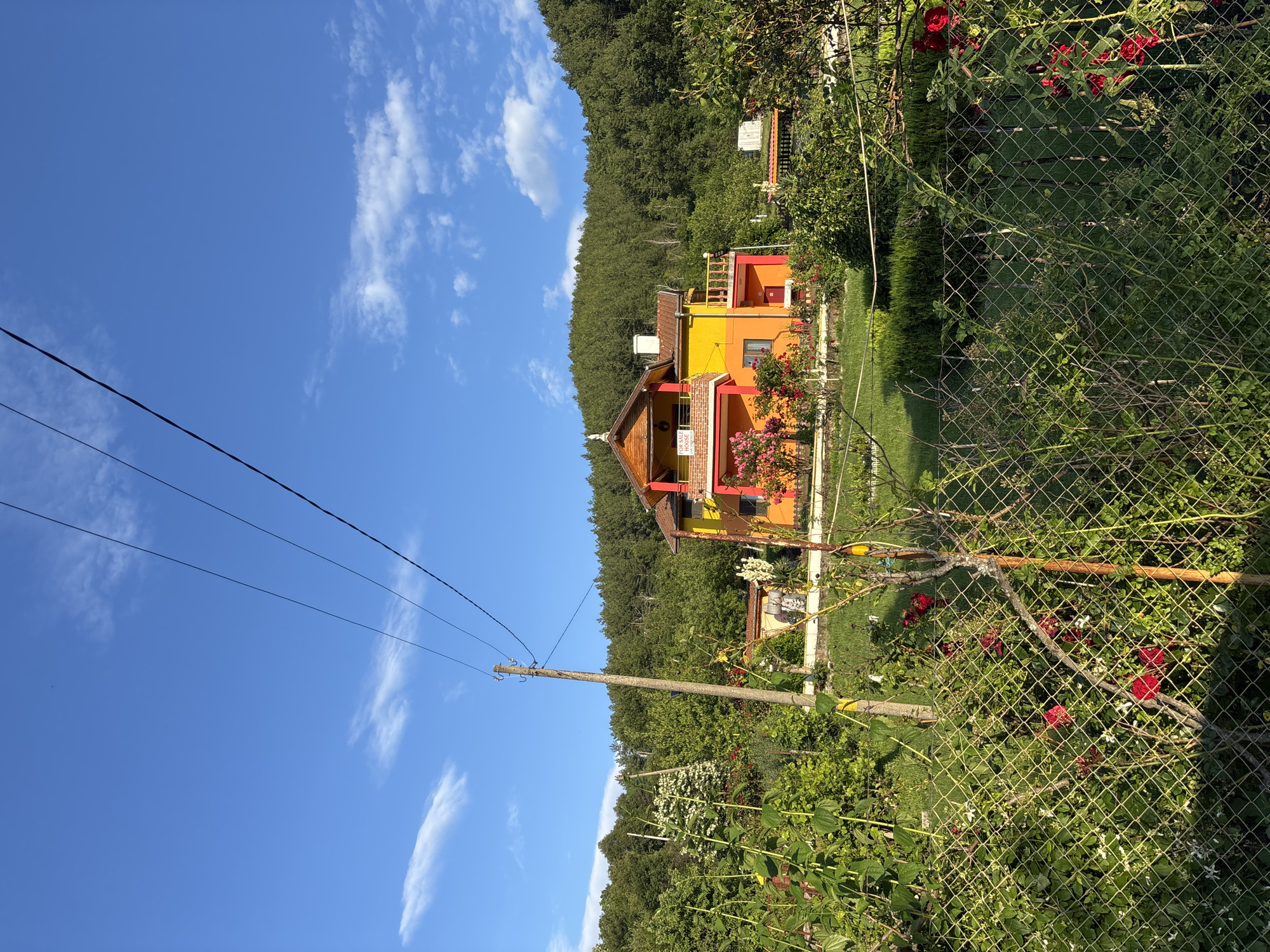 The image depicts a vibrant, two-story house painted in bright orange and yellow, situated in a lush, green environment. The house has multiple balconies and a prominent red roof. A "FOR SALE" sign is visible on the upper floor. The foreground is dominated by a wire mesh fence with red roses and other greenery growing through it. In the background, a dense forest covers a hillside under a clear blue sky with scattered white clouds. A wooden utility pole with power lines runs across the frame. The scene appears to be a residential property in a rural or semi-rural setting, possibly in the vicinity of Star chitak, Bulgaria, given the context. No people are present in the image. The overall impression is one of a picturesque, sunlit landscape.