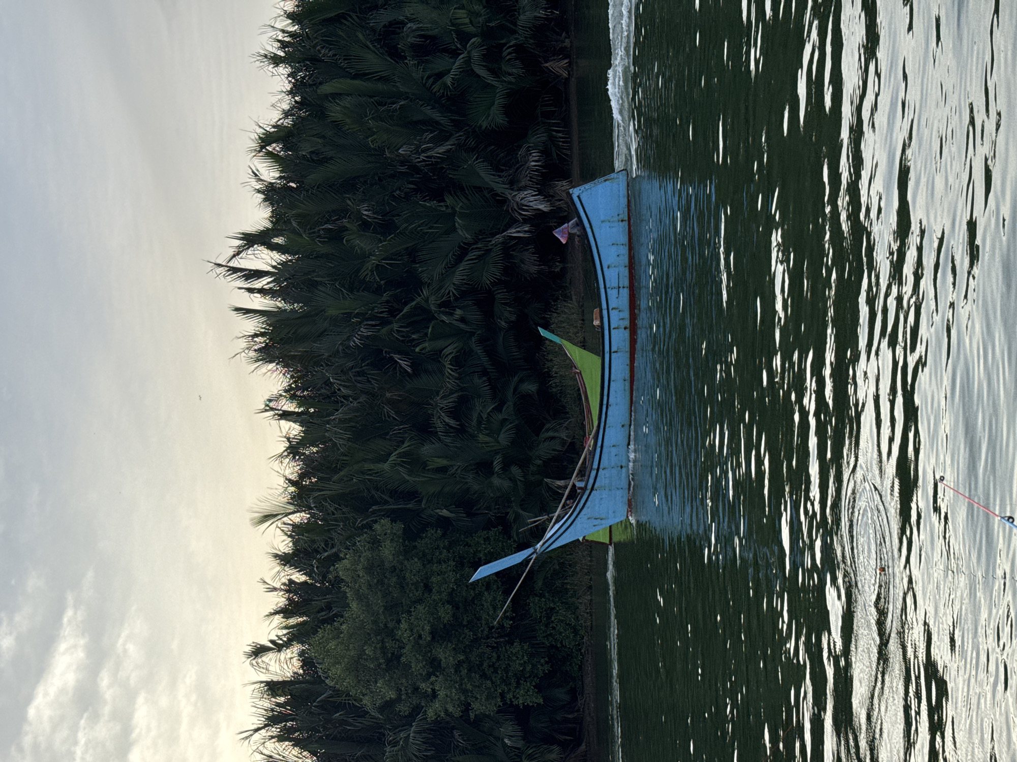 A blue and green traditional Indonesian fishing boat with a pointed prow is sailing on a dark green river. The boat is moving from left to right, creating a wake. On the left side of the boat, a person is seated, wearing a conical hat. The boat is passing a dense line of palm trees and vegetation that borders the river. The sky above is overcast with a soft, diffused light. The image captures a serene moment in a natural environment, likely in a rural area of Reudeuep, Indonesia, given the type of boat and vegetation.