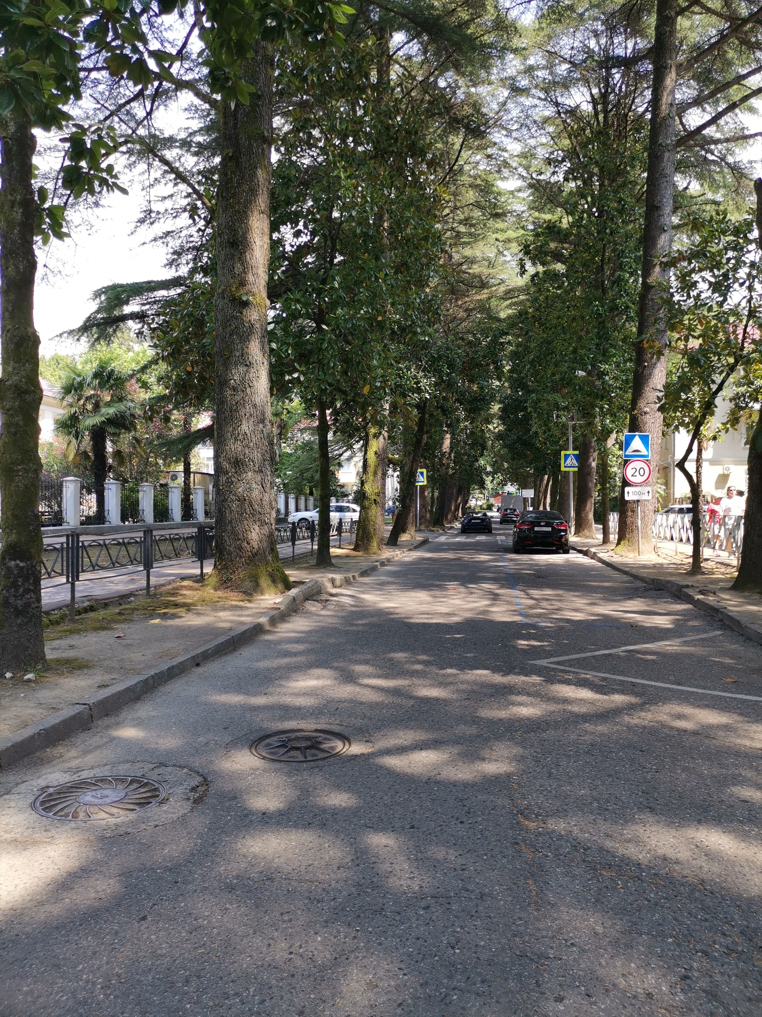 The image shows a tree-lined street with cars driving and parked. Several traffic signs are visible, including a speed limit sign for 20 km/h. In the foreground, there are two manhole covers on the asphalt. The street is paved, and there is a sidewalk with a metal fence and some buildings visible in the background. The trees are tall and leafy, casting shadows on the road and sidewalk. Based on the style of the traffic signs and the presence of palm trees, this scene is consistent with a location in Sochi, Russia.