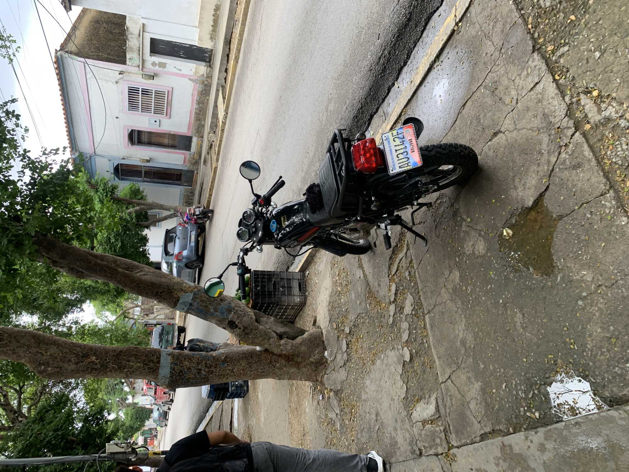 This media file presents a daytime street scene in Santa Ana, Venezuela, likely a residential area, under possibly wet or recently rained-upon conditions, indicated by puddles on the sidewalk.
A black motorcycle is prominently parked on a cracked concrete sidewalk in the foreground. Its rear is facing the viewer, featuring a bright red taillight and a black luggage rack. The motorcycle's license plate, "AU3142F," clearly displays "REPUBLICA BOLIVARIANA DE VENEZUELA" and "BOLIVAR." A rearview mirror is visible on the handlebar. Near the motorcycle, a black plastic crate is placed, appearing to hold green objects, possibly fruit.
To the bottom left, a person is partially visible, wearing a black shirt, grey pants, and white and black sneakers.
The street is paved, and several houses line it. One house has a light-colored facade with distinctive pink trim around its windows and doors. Another house nearby exhibits similar architecture but with blue trim. The buildings appear somewhat aged. Large trees with sturdy trunks, some marked with light blue bands, are situated along the sidewalk, contributing green foliage to the scene. Further down the street, a grey sedan and a red vehicle are parked. Utility wires are visible in the upper left corner against the bright sky. The overall setting suggests a lived-in, urban or semi-urban environment.