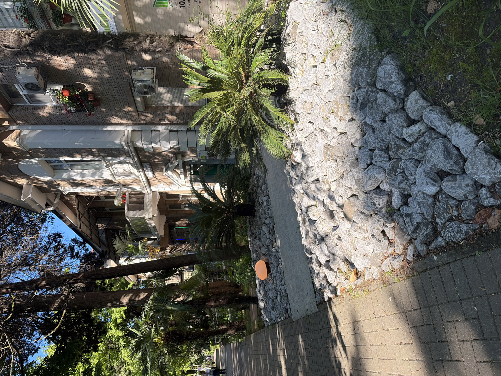 This image captures a vibrant, sunlit outdoor scene along a pedestrian pathway in Sochi, Russia. The time of day appears to be midday or early afternoon, evidenced by the distinct shadows cast across the path and foliage, under a clear blue sky.
The foreground features a paved walkway made of rectangular bricks, extending into the distance. To the left of this path, a decorative rock barrier or retaining wall is prominent, composed of various sizes of light and dark grey stones. Behind this rock structure, a strip of ground is visible with green grass, moss, and some dirt. Numerous palm trees, possibly cycads, are planted along this strip, their fronds reaching towards the sunlight. A small, orange, round object, possibly a ground light or decorative element, is nestled among the rocks.
Further back, multi-story buildings line the left side of the scene. One building features a light-colored facade with several air conditioning units mounted on its exterior, and window boxes with red flowers are visible below a window. Another part of the building has a darker, textured facade. Partially visible text on a sign on one of the buildings includes "ЗЕЛЕНЫЙ МАГАЗИН" (Green Shop/Store) and "10%", indicating a commercial establishment offering a discount. Tall, leafy trees with substantial trunks provide a canopy over parts of the pathway. In the far distance, faint figures of people can be seen walking on the path, suggesting normal daily activity in this urban setting. The overall impression is that of a well-landscaped and lively area.