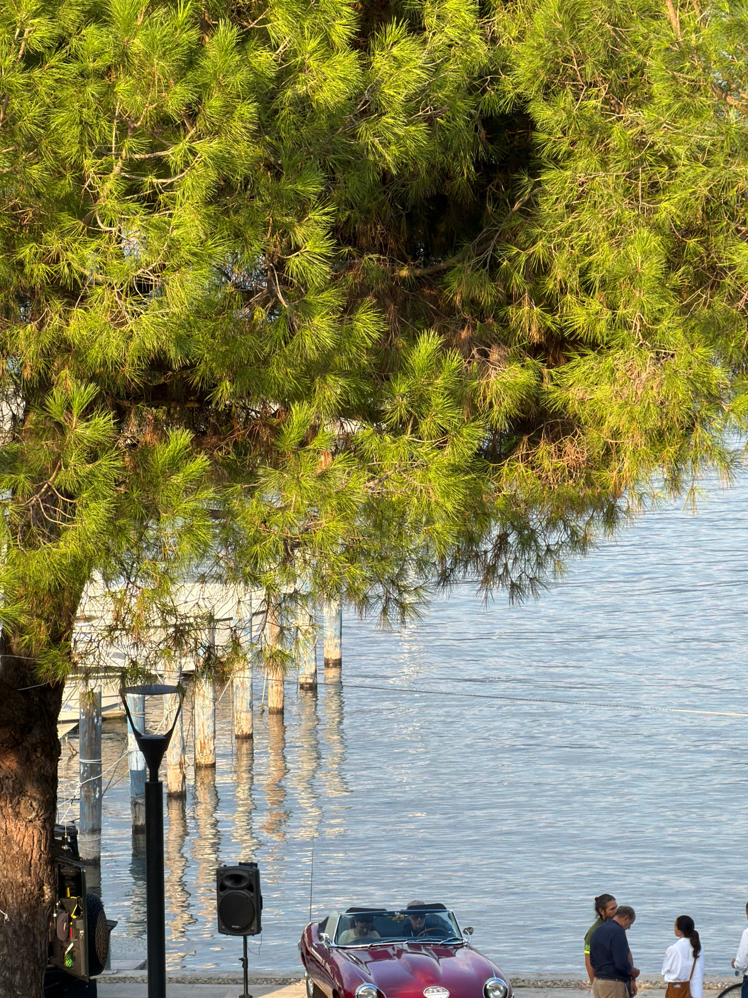 A vintage red convertible is parked on a paved area beside a body of water. The car is facing left and a person is visible in the driver's seat. In the background, several wooden posts emerge from the water, and a string of lights is visible above the water. The scene is partially shaded by the branches of a large green pine tree, whose needles are in focus in the foreground. To the left of the car, a tall black lamp post stands next to a dark-colored vehicle with its door open, revealing some equipment inside. A black speaker is set up on a stand to the right of the lamp post. A group of four people are standing near the car, interacting with each other. The water is calm and reflects the light and the posts.