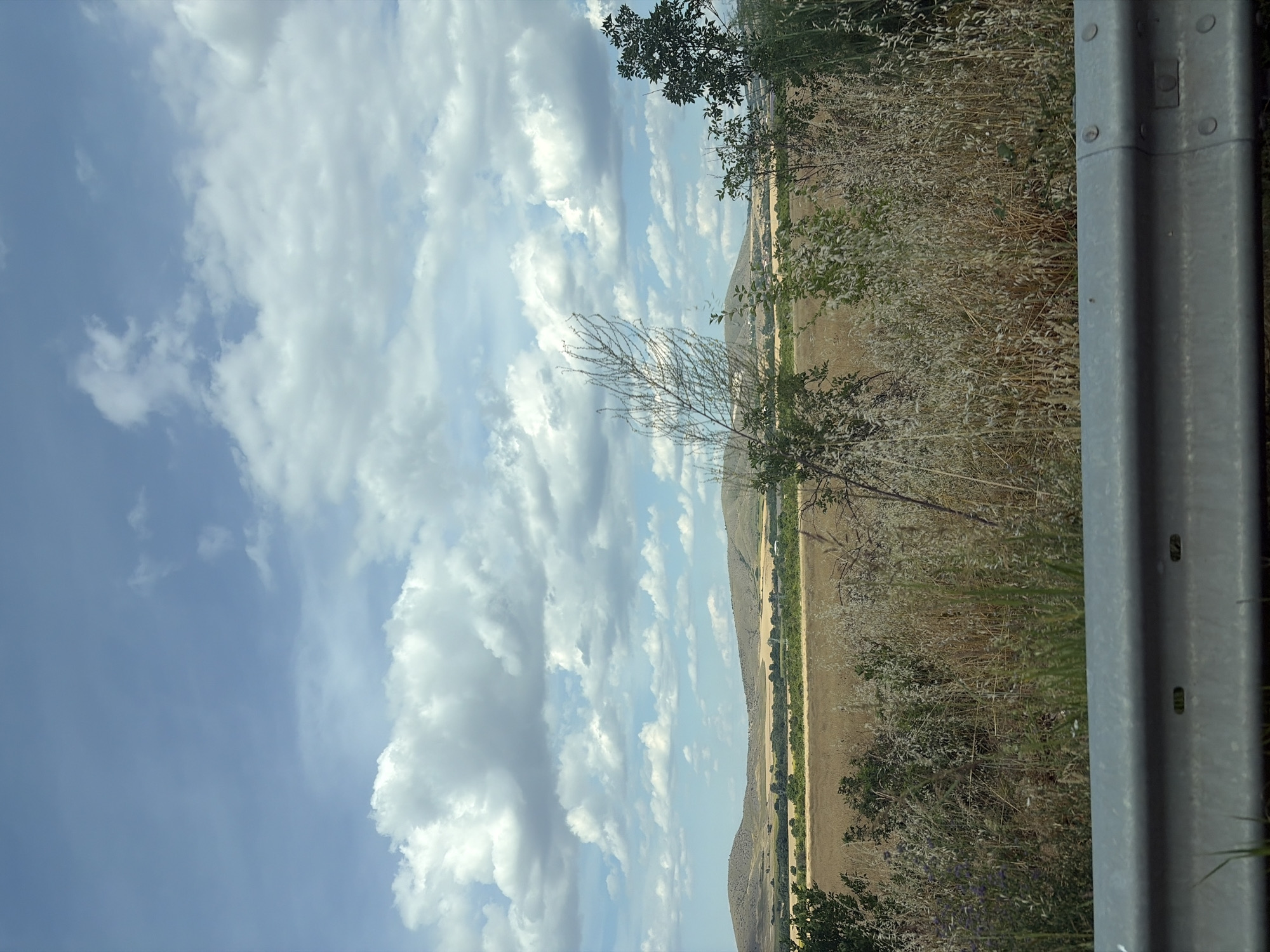 An eye-level, medium shot captures a vast landscape under a partly cloudy sky. In the foreground, a metal guardrail runs horizontally across the bottom of the frame. Beyond the guardrail, dense, dry vegetation and a few scattered trees dominate the scene. The middle ground reveals rolling hills covered in brown and tan grasses and scattered trees. In the distance, a line of trees marks the horizon. The sky is a vibrant blue, punctuated by large, fluffy white clouds. The overall impression is of a rural, open landscape under a bright, sunny day. The location is Unknown, Unknown.