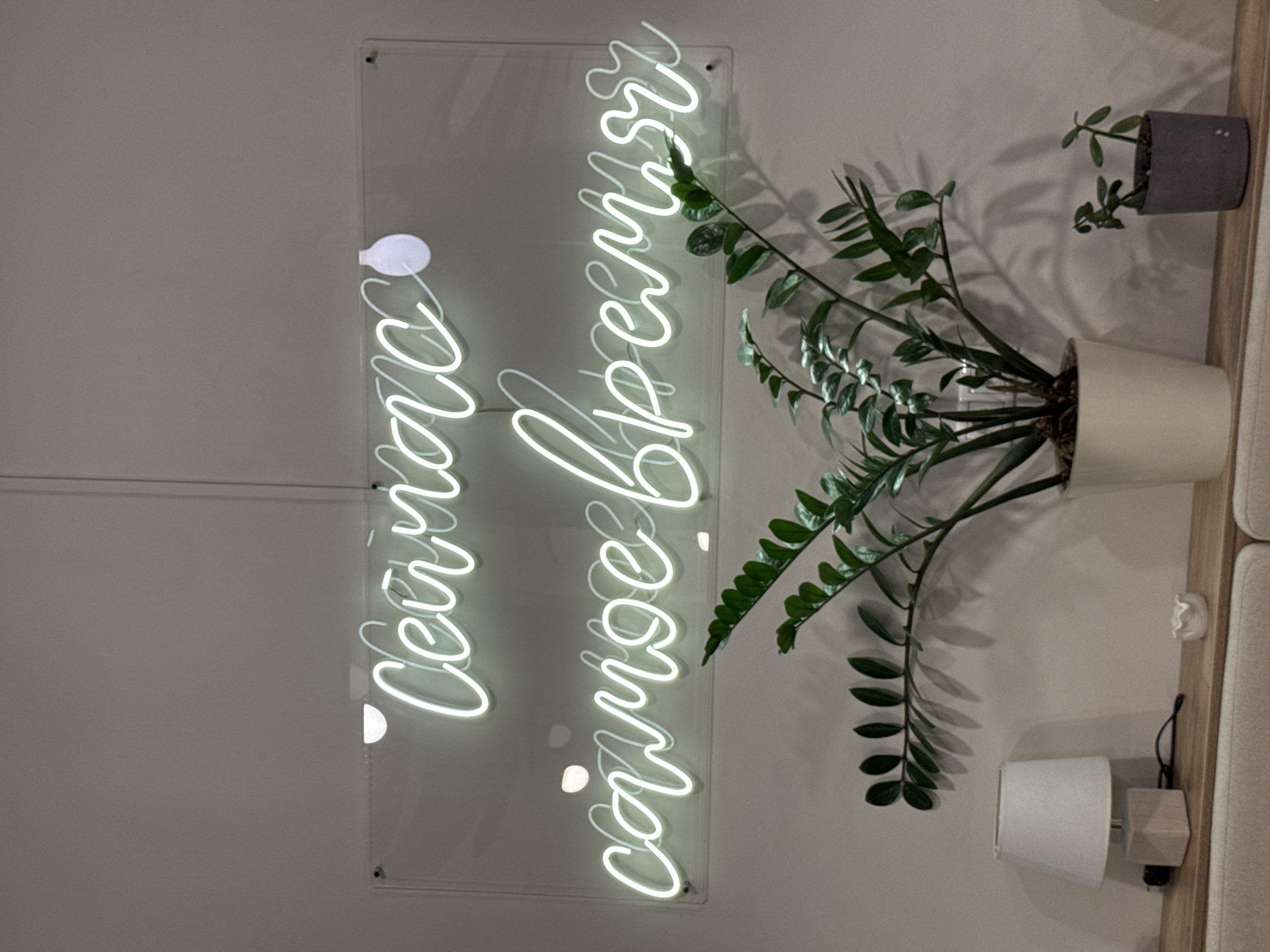 A vertically-oriented photograph shows a wall with a neon sign, two potted plants, and a lamp in an indoor setting, possibly in Izhevsk, Russia. The white neon sign, mounted on a clear acrylic panel, features a stylized cursive phrase in Russian, likely "Сейчас самое время" (Now is the best time). To the right of the sign, two potted plants sit on a narrow shelf or ledge. The larger plant, a Zamioculcas zamiifolia, is in a white pot. A smaller plant, potentially a succulent, is in a gray pot. Below the larger plant, a small white lamp with a square, light-colored base is visible. The wall is painted in a light, neutral tone, and the lighting appears to be a combination of natural and artificial light. Part of a light-colored sofa or chair is visible on the far right edge.