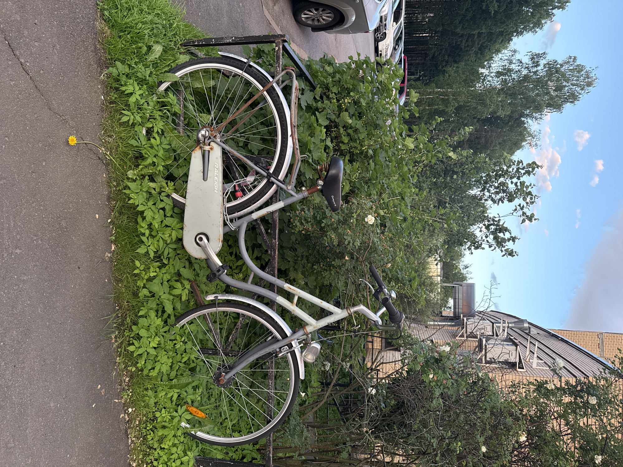 In Saint Petersburg, Russia, an old, gray Raleigh bicycle is parked next to a fence, surrounded by lush green bushes and grass. The bicycle has a worn appearance, with visible rust on its spokes and rear fender. It is secured with a chain lock. In the background, a brick building with an air conditioning unit and white roses on a nearby bush are visible. A parking lot with several cars is also present. The sky above is blue with scattered white clouds. A single yellow dandelion grows on the asphalt in the foreground.