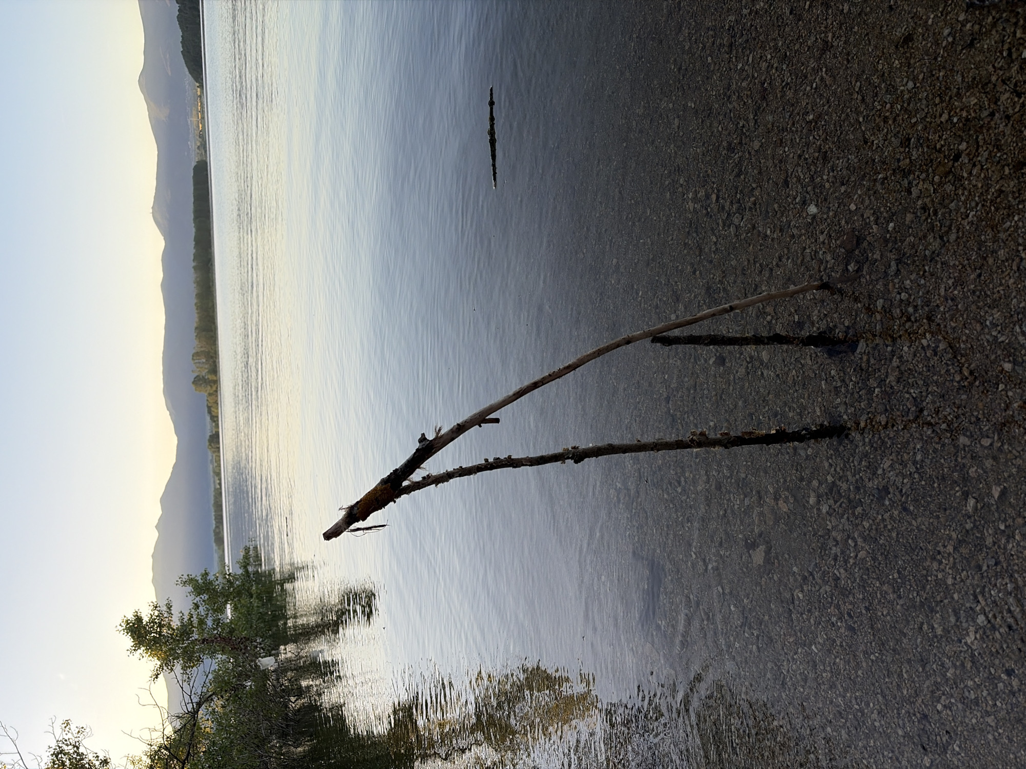 The image depicts a serene natural landscape, likely at the Koprinka Reservoir in Bulgaria. Two sticks are planted in the shallow, clear water near the rocky shore. The larger stick is leaning at an angle, with a smaller, darker stick positioned vertically beside it. In the distance, calm water stretches towards a tree-lined horizon and a range of gently sloped mountains under a pale sky, hinting at either dawn or dusk. The water's surface reflects the muted colors of the sky and the surrounding vegetation, creating a peaceful and tranquil atmosphere. There are no people or animals visible in the scene.