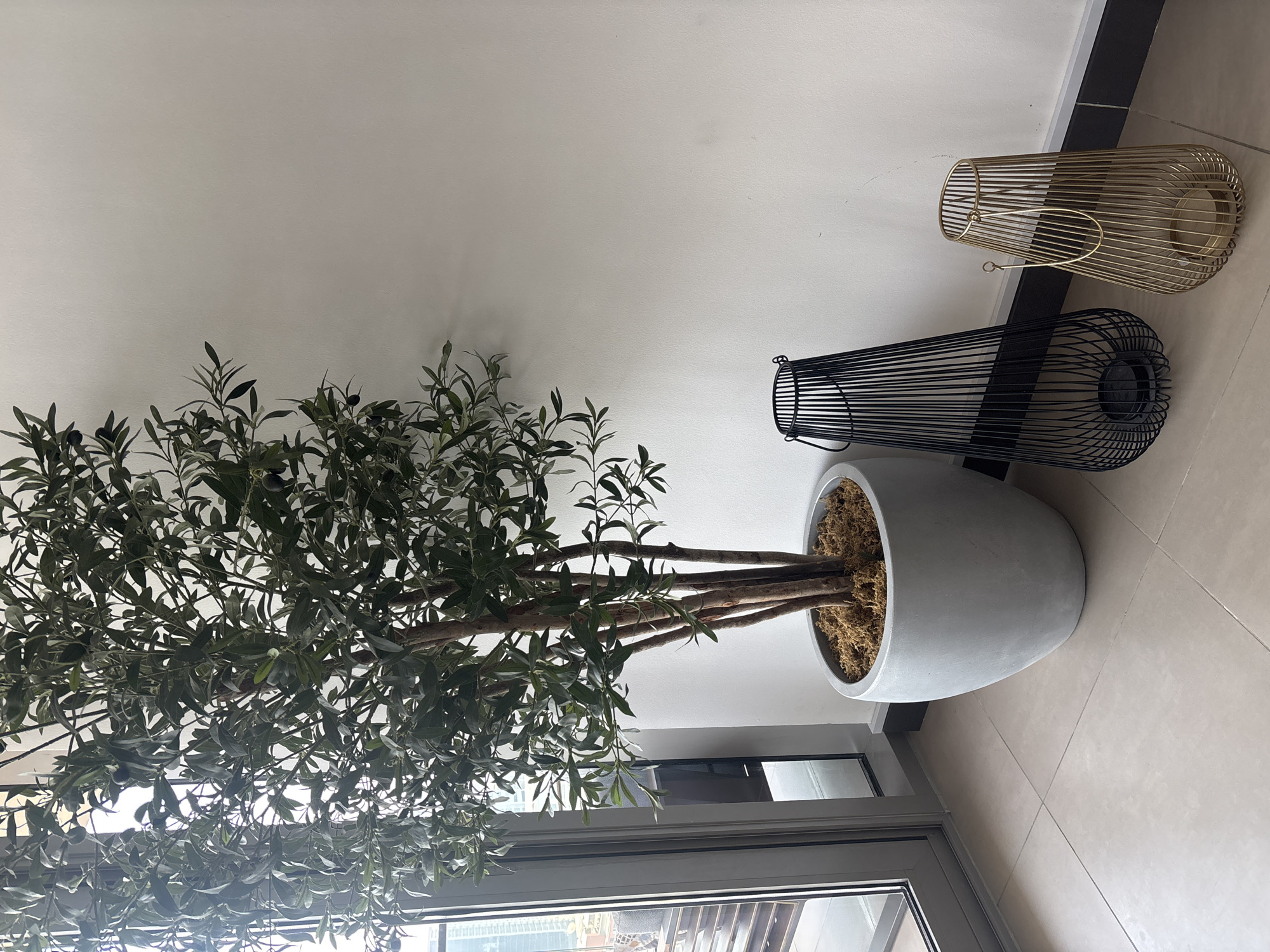 The image shows a staged indoor setting, likely a balcony or sunroom, in Dubai, United Arab Emirates. The scene features a large artificial olive tree in a gray pot, filled with textured brown material. To the right of the tree are two decorative metal lanterns: one is black and tall, and the other is gold and slightly smaller. The floor is tiled in a light neutral color. A glass-paned door is visible on the left, offering a glimpse of an outdoor area and possibly a cityscape. The background is a plain, light-colored wall. There are no people or animals present.