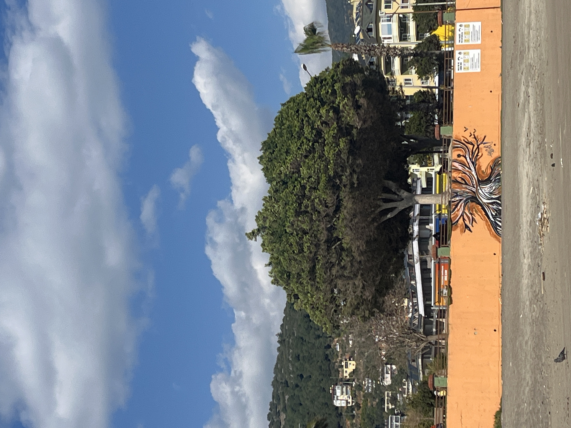 A landscape image taken in Alanya, Turkey, oriented in a vertical format, shows a bright blue sky partially filled with white clouds on the left side. The foreground is dominated by a light orange wall with a painting of a tree's roots extending upwards along the bottom portion. The rest of the scene reveals an outdoor setting with a full green tree and vegetation covered hill extending into the upper midground. Houses are nestled within the hillside vegetation. The background features buildings and potentially the edge of a mountain. The weather appears sunny and clear. The scene is devoid of people. The road is asphalt.