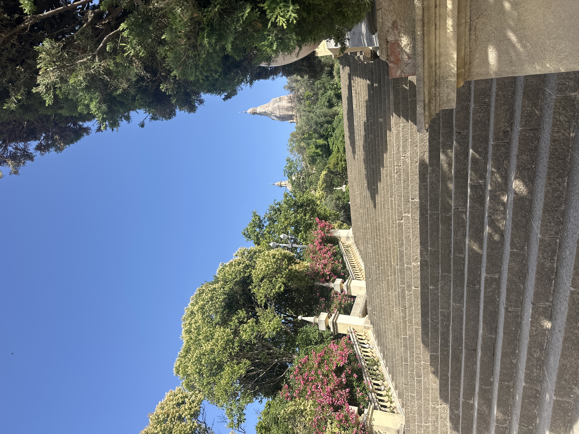 The image shows a wide, stone staircase leading upwards. The staircase is flanked by ornate balustrades and planters filled with pink flowers. Lush green trees and foliage surround the stairs, and in the distance, a prominent domed building with a spire is visible against a clear blue sky. This is the Palau Nacional, located on Montjuïc hill in Barcelona, Spain, which houses the National Art Museum of Catalonia. The lighting suggests it is a bright, sunny day. There are no people or animals visible in the image.