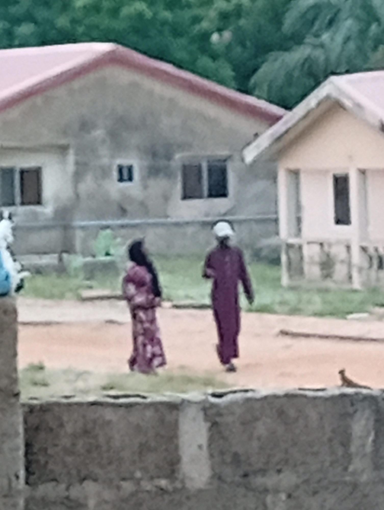 This blurry outdoor image depicts a scene in a residential area, likely in Adankolo, Nigeria. In the foreground, a low, grey concrete wall runs horizontally across the bottom of the frame, with a small, brown animal, possibly a bird or lizard, perched on its right end.
The middle ground shows an unpaved, reddish-brown dirt path where two individuals are walking. The person on the left is wearing a long, patterned garment in shades of purple or maroon, with dark hair or a head covering. The person on the right is dressed in a solid maroon or purple long robe, possibly a thobe, and a white cap. A third person, partially obscured on the far left by a foreground element, wears a light-colored top.
In the background, two houses are visible. The house on the left has grey concrete walls and a reddish-pink gabled roof, featuring several dark, rectangular windows. The house on the right is lighter in color, possibly off-white, with a lighter-colored gabled roof and vertical rectangular openings. Behind and above the houses, abundant green foliage and trees suggest a natural setting.
The lighting is soft and diffused, indicating either an overcast day or possibly early morning or late afternoon. No specific text is visible in the image. The attire of the people and the architectural style of the houses align with the provided location context, depicting a daily scene in the region.