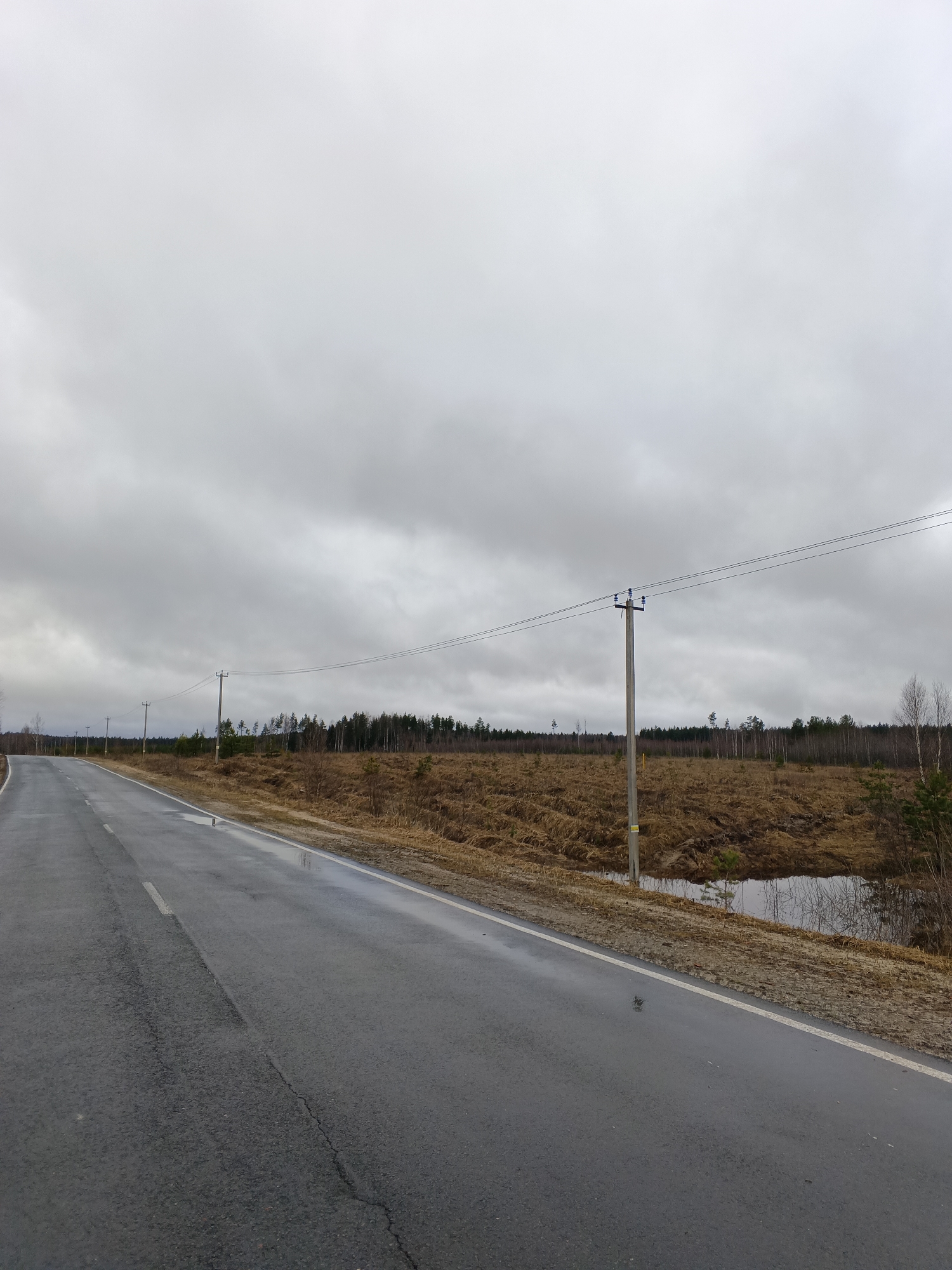 The scene depicts a wet asphalt road in Krasnyi Mayak, Russia, likely after rainfall. The road stretches into the distance, flanked by a marshy area and a line of trees in the background. Power lines run parallel to the road, supported by utility poles. The sky is overcast, suggesting a gloomy or rainy day. There are no people visible in the frame. The environment appears rural and potentially undeveloped, with sparse vegetation and visible standing water.