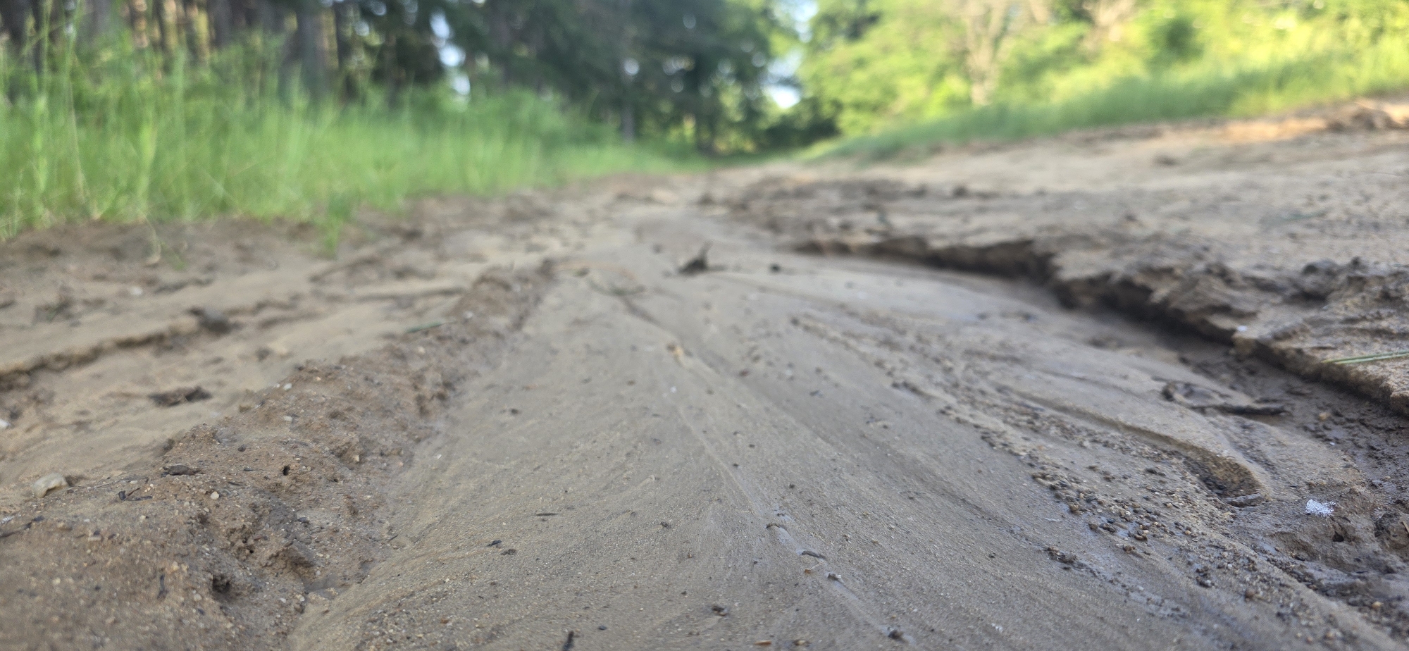 The image depicts a natural outdoor environment, likely a dried-up or partially wet ground depression or path. The immediate foreground, which is in sharp focus, consists of granular, light brown to greyish-brown soil, consistent with sand or fine gravel mixed with dirt. Distinctive erosion patterns are visible, characterized by shallow parallel grooves and ripple-like textures, indicating past water flow. On the left side of the foreground, the ground rises slightly, transitioning to less defined terrain further back. On the right, a darker, more abrupt bank or edge of soil creates a channel-like appearance.
The midground continues with similar soil composition but gradually blurs. In the background, out of focus, a vibrant area of green grass is visible on the left, suggesting lush vegetation. Behind the grass and extending across the upper portion of the frame are blurred outlines of trees, forming a treeline or wooded area. The lighting suggests daylight conditions. There are no individuals, animals, or man-made objects discernibly present in the scene.
The specific location within the city of Esen, Bulgaria, cannot be determined from the visual information provided in the image. The scene represents a generic natural landscape feature at the edge of or within a forested or vegetated area.