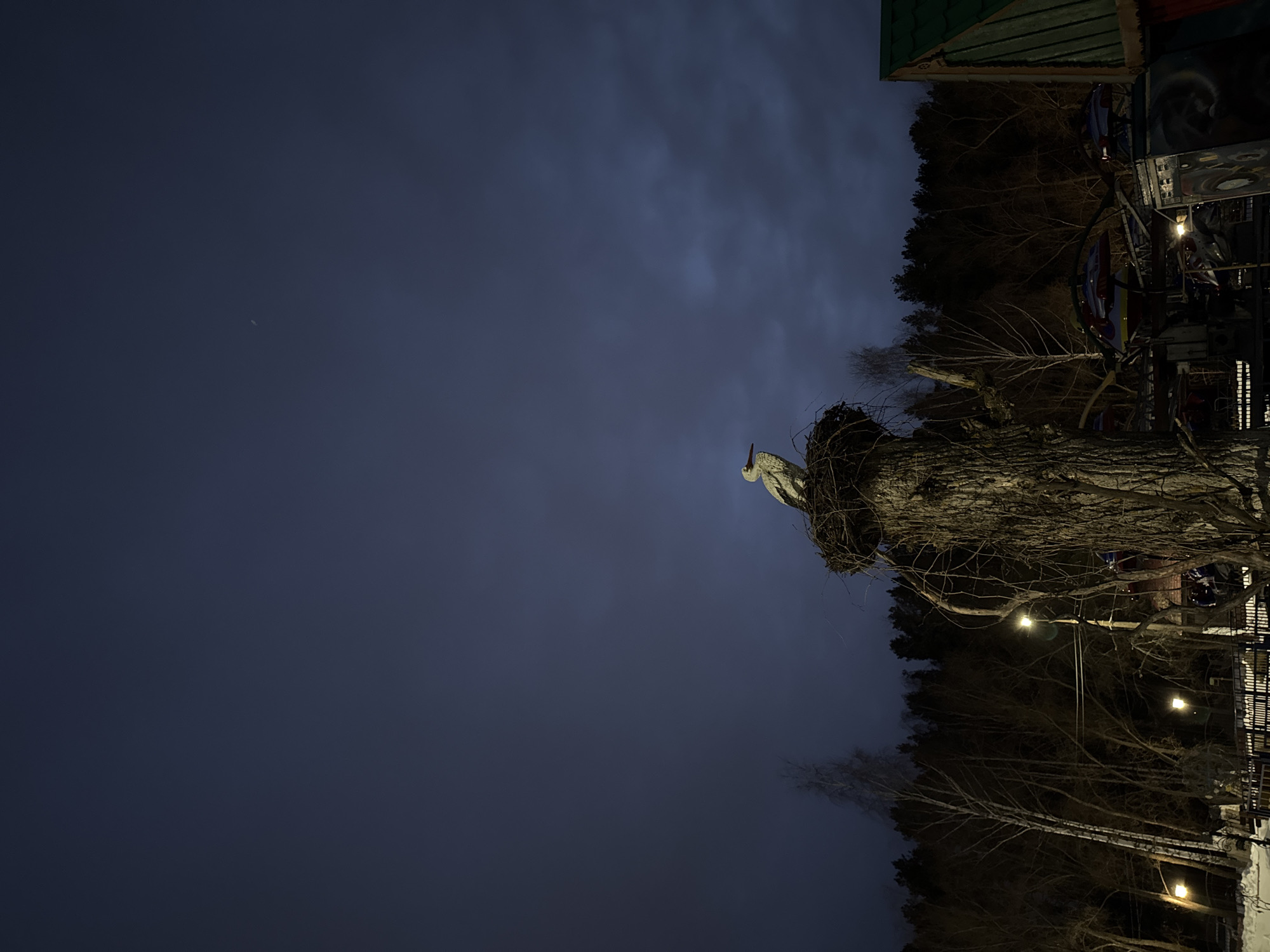 The image shows a statue of a bird, possibly a heron or stork, standing in a nest atop a tree trunk. This scene is likely located in the city of Chaikovsky, Russia, based on context clues and visual elements. The setting appears to be outdoors at night or dusk, indicated by the dark sky. The tree trunk is illuminated by a light source, casting a glow on its textured bark and the surrounding branches. In the background, a treeline is visible, suggesting a park or wooded area. The presence of streetlights and possibly some urban structures (like the Ferris wheel) also points to a location within a city.