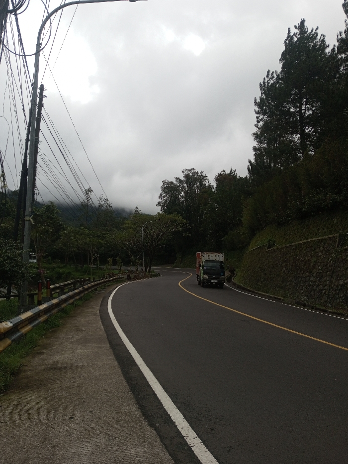 The image displays a curved, two-lane asphalt road in Bangtsho, Bhutan, under a heavily overcast, gray sky. The road features a solid white line on its left edge and a solid yellow center line, indicating a curve to the right. A dark-colored box truck, with a white cargo box displaying faint red markings on its side, is positioned on the road, traveling away from the viewer and to the right, following the road's curvature. To the immediate left of the road, a concrete pedestrian path runs parallel to a black and yellow striped metal guardrail. Further left, several utility poles with numerous tangled black electrical wires rise vertically, one equipped with a street light arm. Dense green foliage and trees line the left side, with distant mountains partially obscured by mist or low clouds in the background. On the right side of the road, a low stone retaining wall supports a steep, grass-covered embankment densely populated with dark green coniferous trees and other deciduous vegetation. No individuals are present in the scene.