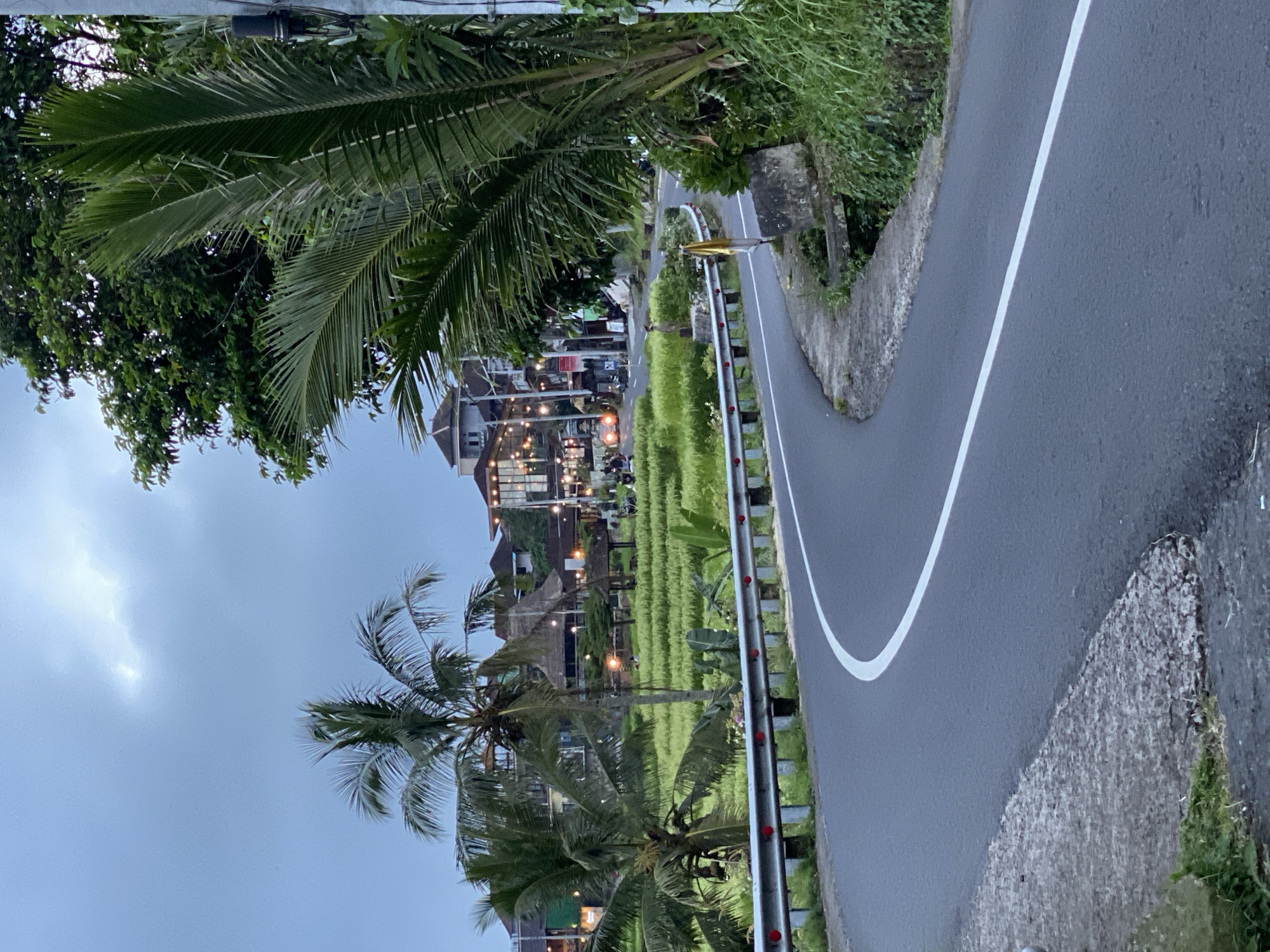 The image captures a winding road in Penebel, Indonesia, lined by rice paddies and palm trees. The road surface is dark asphalt with a solid white line marking the edge. A metal guardrail separates the road from the rice paddies. Buildings with illuminated lights are visible in the background. The sky is overcast.