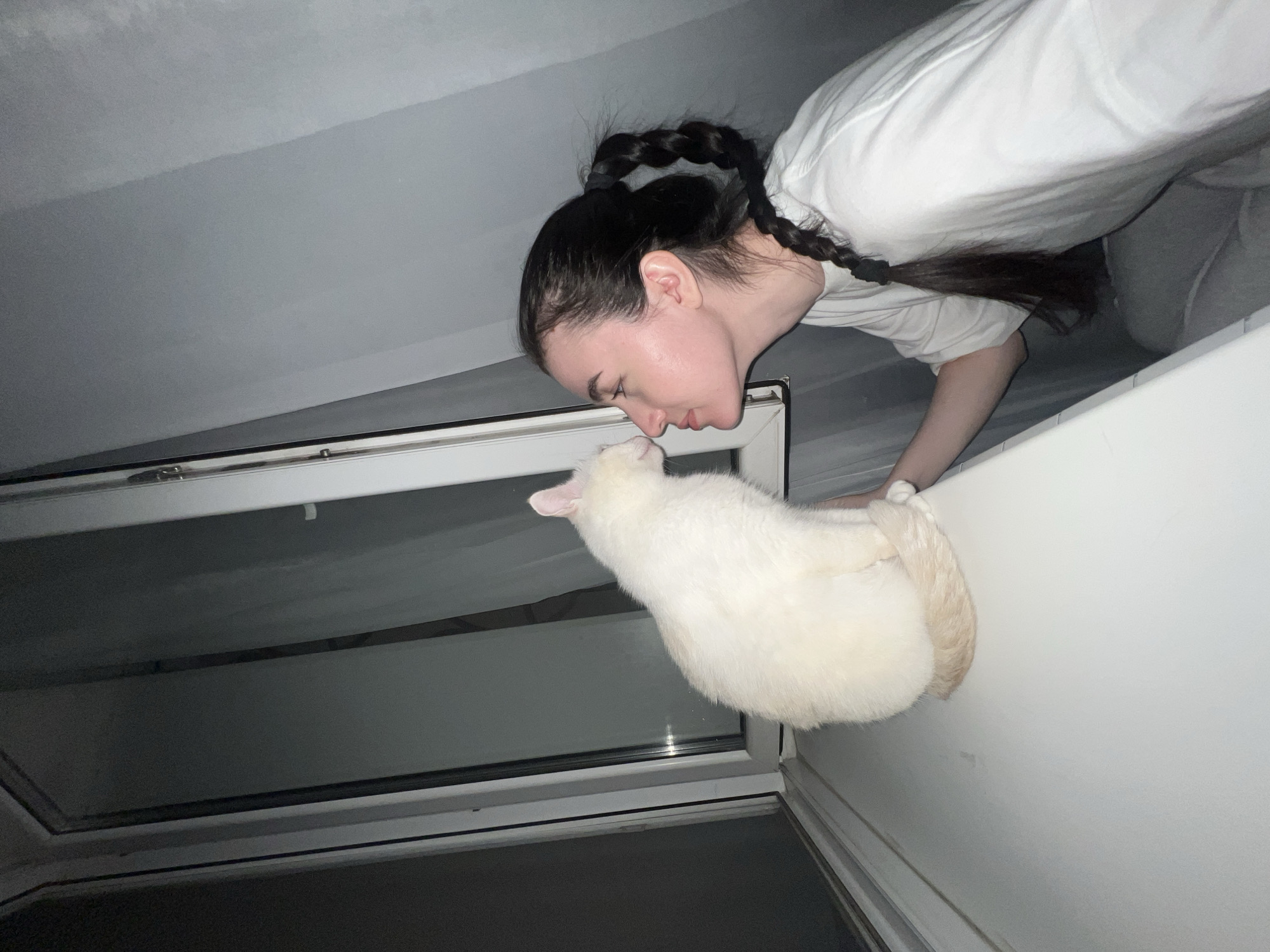 In an indoor setting, likely a home, a young woman with dark hair braided into a ponytail leans towards a white cat. They are positioned on a white windowsill, with a window behind them featuring sheer curtains and a dark pane. The woman is wearing a white t-shirt and grey pants. Her face is close to the cat's, with their noses nearly touching, suggesting an affectionate interaction. The lighting is dim, creating a soft, intimate atmosphere. The background is mostly grey, with the window frame and curtain being the only distinguishing features.