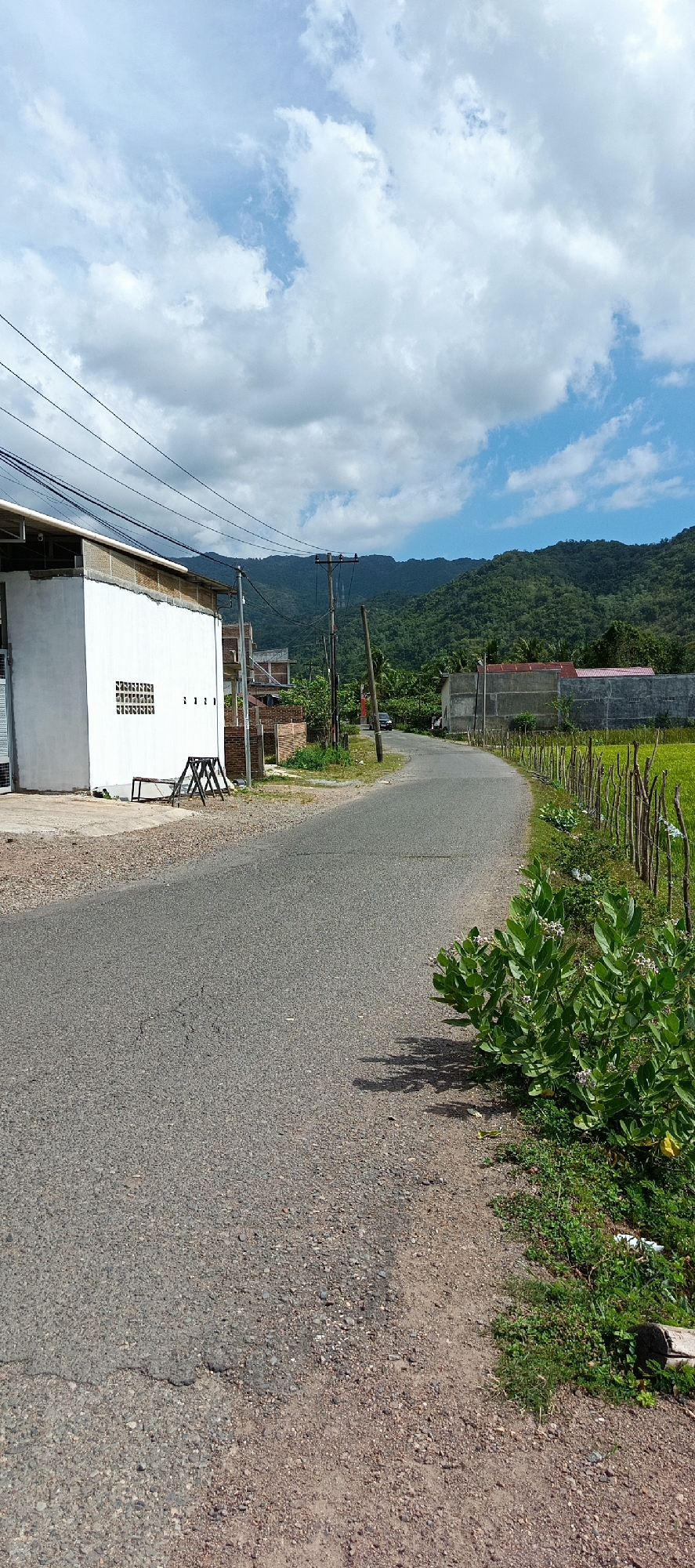 The image depicts a rural road winding through a landscape with lush green hills in the background. The road surface is asphalt, showing some signs of wear. On the left side of the road, there is a white building with a corrugated metal roof and a series of small, rectangular openings in the wall, suggesting a ventilation system. In front of the building, two black metal structures resembling sawhorses or sawbenches are placed on the ground. A few power lines are strung overhead, supported by utility poles.
The right side of the road is bordered by a makeshift fence constructed from thin wooden stakes. Beyond the fence, a vibrant green field, likely rice paddies, is visible. In the foreground on the right, a dense cluster of green leafy plants with small purple flowers is growing. The sky is partly cloudy, with white, fluffy clouds against a blue backdrop. In the middle ground, a few other buildings and scattered trees can be seen, along with a dark-colored vehicle parked on the side of the road. The overall scene suggests a sunny day in a village setting in Geundring, Indonesia, characterized by a mix of residential and agricultural elements.