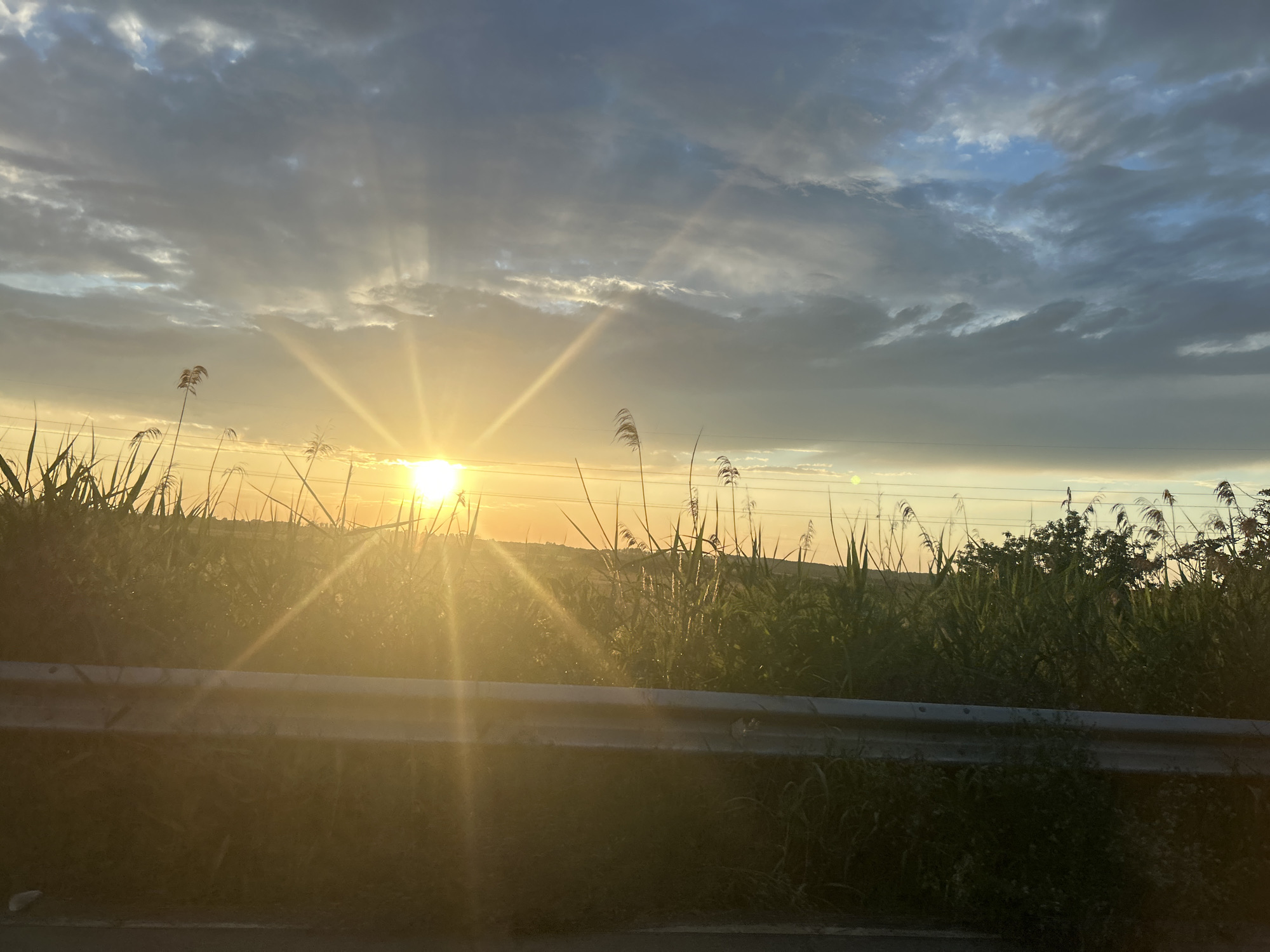 The image depicts a rural landscape at sunset, located in the vicinity of Milkovitsa, Bulgaria. A brilliant golden sun is positioned low on the horizon, slightly to the left of the frame's horizontal center, emitting intense, radial sunbeams that cut through the atmosphere. The sky above is characterized by a dense layer of dark grey and blue-grey clouds, interspersed with brighter, illuminated cloud formations and small patches of clear blue sky visible towards the upper right. Prominent crepuscular rays extend from the sun, piercing through the cloud cover.
The mid-ground features a thick expanse of tall grasses and reeds, their forms backlit by the sun, creating golden highlights and significant lens flare. Several individual reeds with distinct feathery seed heads are visible. Horizontal power lines traverse the upper mid-ground, silhouetted against the bright sky. A grey, metallic guardrail extends horizontally across the lower part of the image, indicating a roadside or highway setting. The ground directly beneath and in front of the guardrail is dark and shadowed. There are no discernible people, animals, or vehicles in the scene.