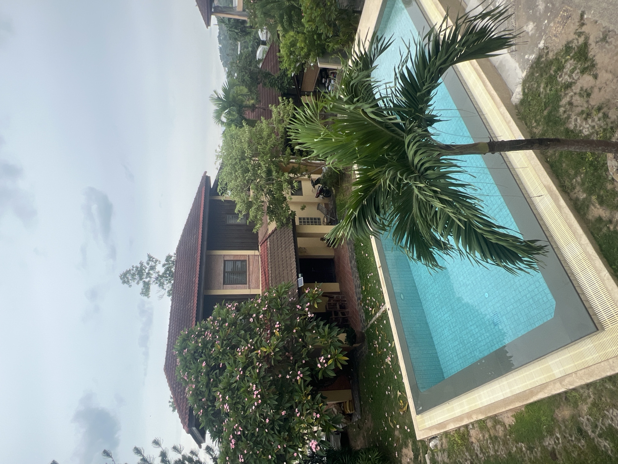 A high-angle, medium shot captures a swimming pool in the foreground, adjacent to a tropical-style house. The pool, filled with clear blue water, is rectangular with a dark gray border and a light-colored coping. Green grass borders the pool and surrounds the house. The house, a two-story structure, features a dark red tiled roof and cream-colored walls with dark trim. A large flowering tree with pink blossoms is situated to the left of the house, with fallen petals scattered on the lawn. Palm trees and other lush green foliage are visible throughout the scene, suggesting a warm, humid climate. A motorcycle is parked on the side of the house. In the background, rolling hills covered in vegetation indicate a more rural or suburban setting within the city of Ko Samui District, Thailand. The sky is overcast with gray clouds, suggesting a potentially rainy day.