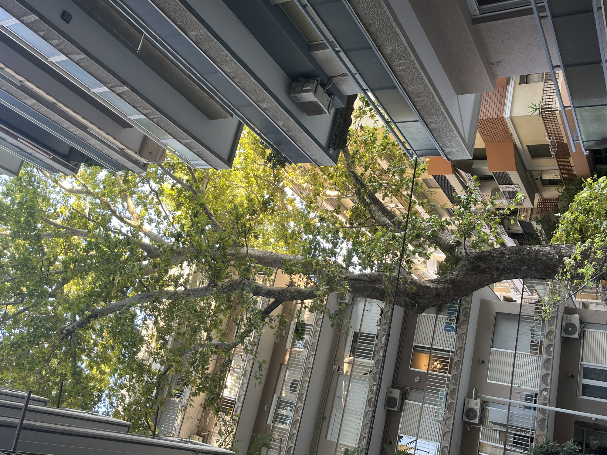 The image shows a view looking up between two apartment buildings, with a large tree with green leaves in the center. The buildings are multi-story structures with balconies. The building on the left has a beige facade with white railings and shutters on the windows. Several air conditioning units are visible mounted on the exterior walls. The building on the right has a grey facade with glass and metal railings on the balconies, and air conditioning units are also visible. The sky is visible through the branches of the tree. The scene appears to be a residential area in a city. Given the presence of typical Mediterranean architecture and the lighting, the location is likely Greece. Based on the architectural style and building density, this scene is consistent with an urban environment in Thessaloniki Municipal Unit, Greece. There are no people visible in the image.