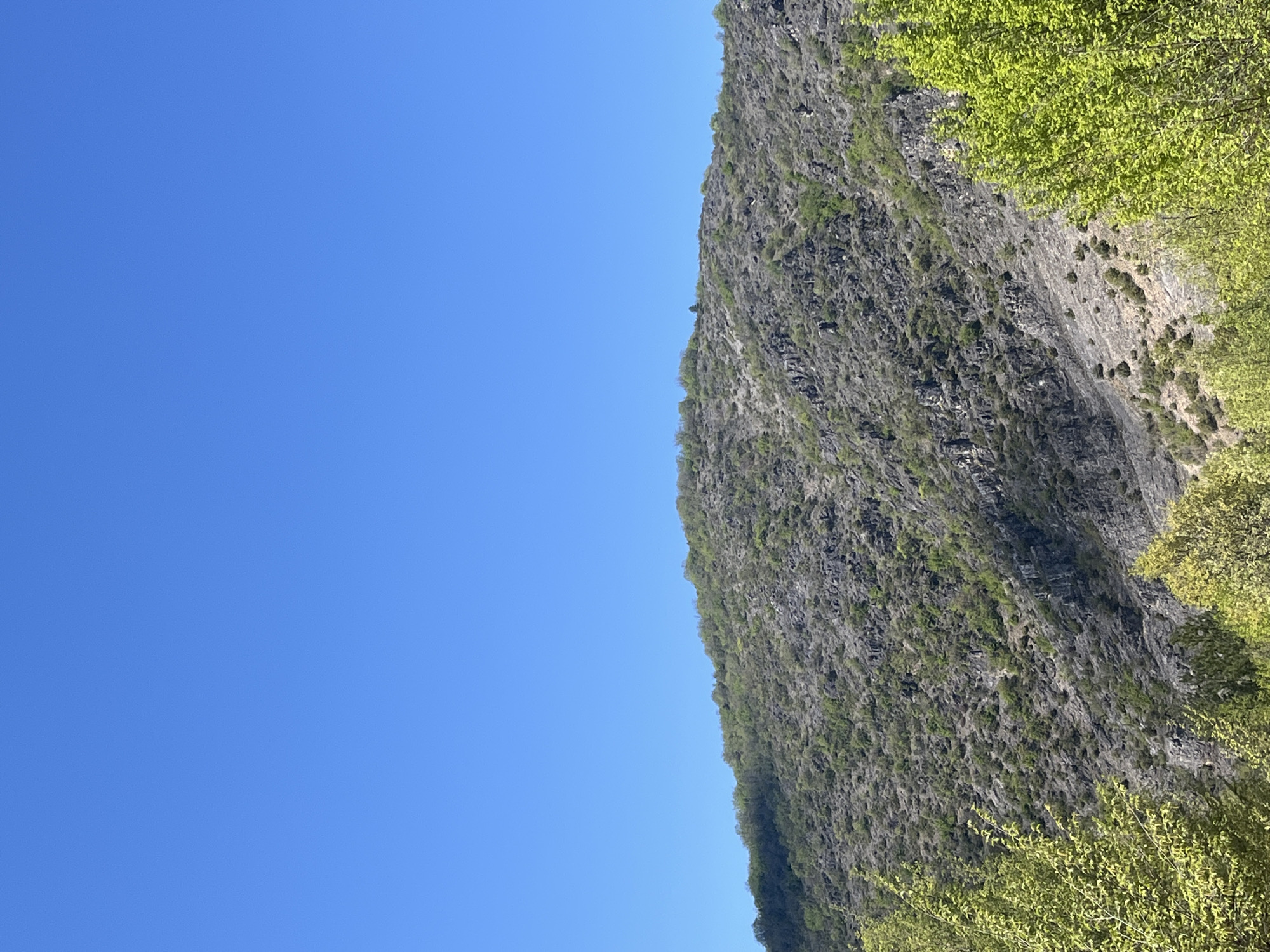The image shows a steep, rocky cliff face partially covered with vegetation, juxtaposed against a clear, bright blue sky. The cliff is predominantly gray with green vegetation clinging to its surface. To the right of the cliff face, there are trees with budding green leaves. The photo appears to be taken on a sunny day, with no people or other objects visible besides the natural elements. There is no indication of the location in the city of Polska Skakavitsa, Bulgaria from the content of the image.