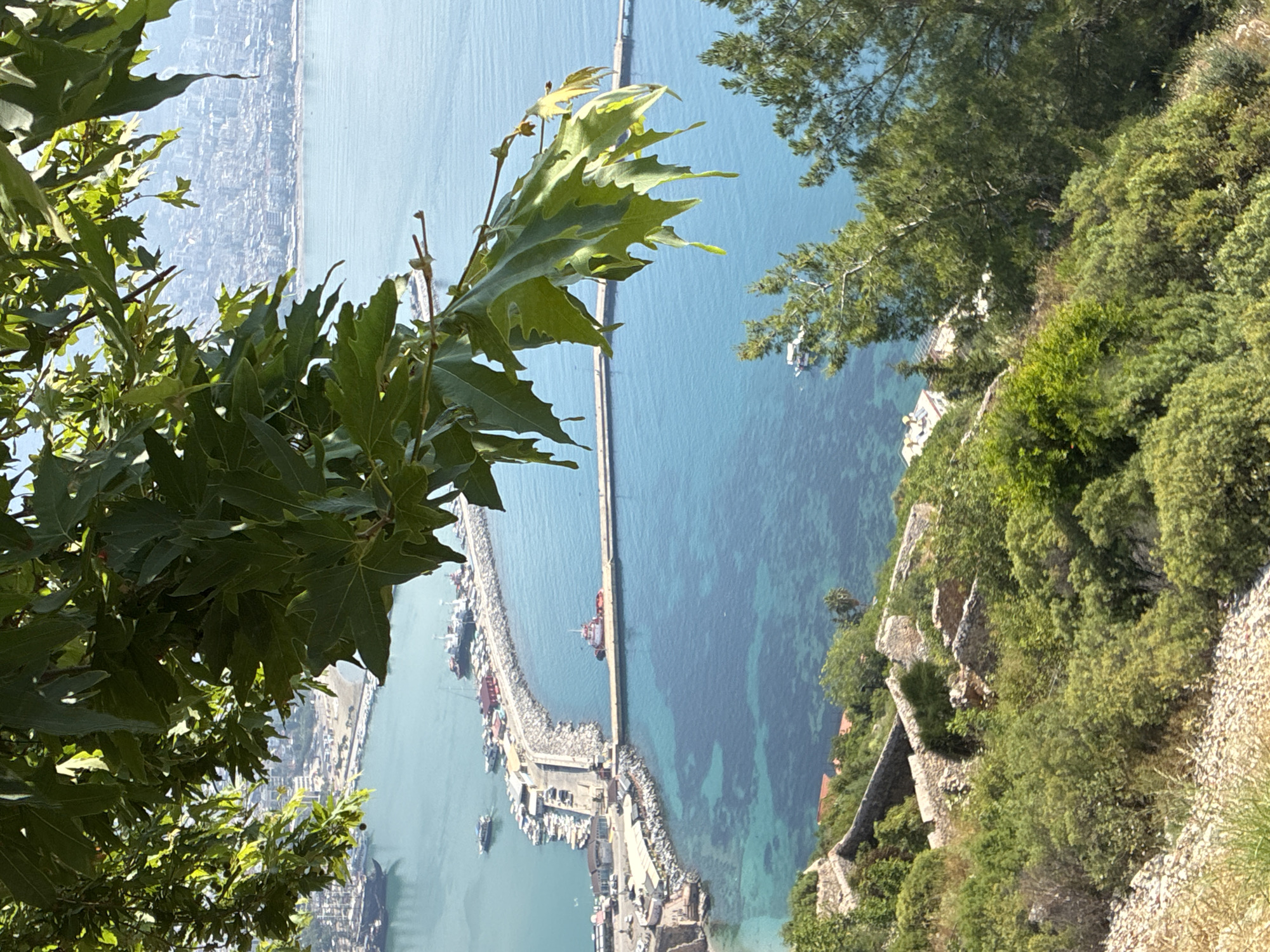 The image captures a scenic view of Alanya, Turkey, from a high vantage point, likely from the Alanya Castle. In the foreground, lush green leaves from a tree branch partially obscure the scene. Below, a vibrant turquoise sea stretches out, dotted with boats. A prominent man-made structure, a long pier or breakwater, extends into the water, lined with numerous docked boats and some buildings at its base. Another, narrower pier juts out further, with a red and white boat tied to it. The coastline of Alanya is visible in the background, a dense urban sprawl of buildings extending along the coast and climbing up the hills, bathed in the bright sunlight of a clear day. The foreground also shows terraced slopes covered in greenery and stone ruins, suggesting historical structures on the hillside.