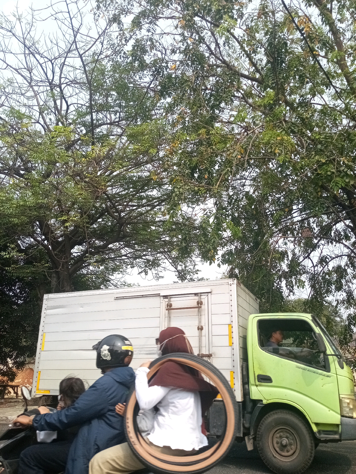 An image taken from a low angle shows a light green truck and a motorcycle with three people on it. The truck is on the right side of the image, parked on the side of a road with a large, leafy tree providing shade over the scene. The truck has a white box body. The motorcycle is to the left of the truck, with three occupants. The driver, wearing a black helmet, is in the front. Behind them, a person wearing a brown headscarf is seated, holding a large tire. A young child is seated between the driver and the person with the headscarf. The background consists of a cloudy sky and more trees. The scene appears to be a roadside in Bekasi, Indonesia.