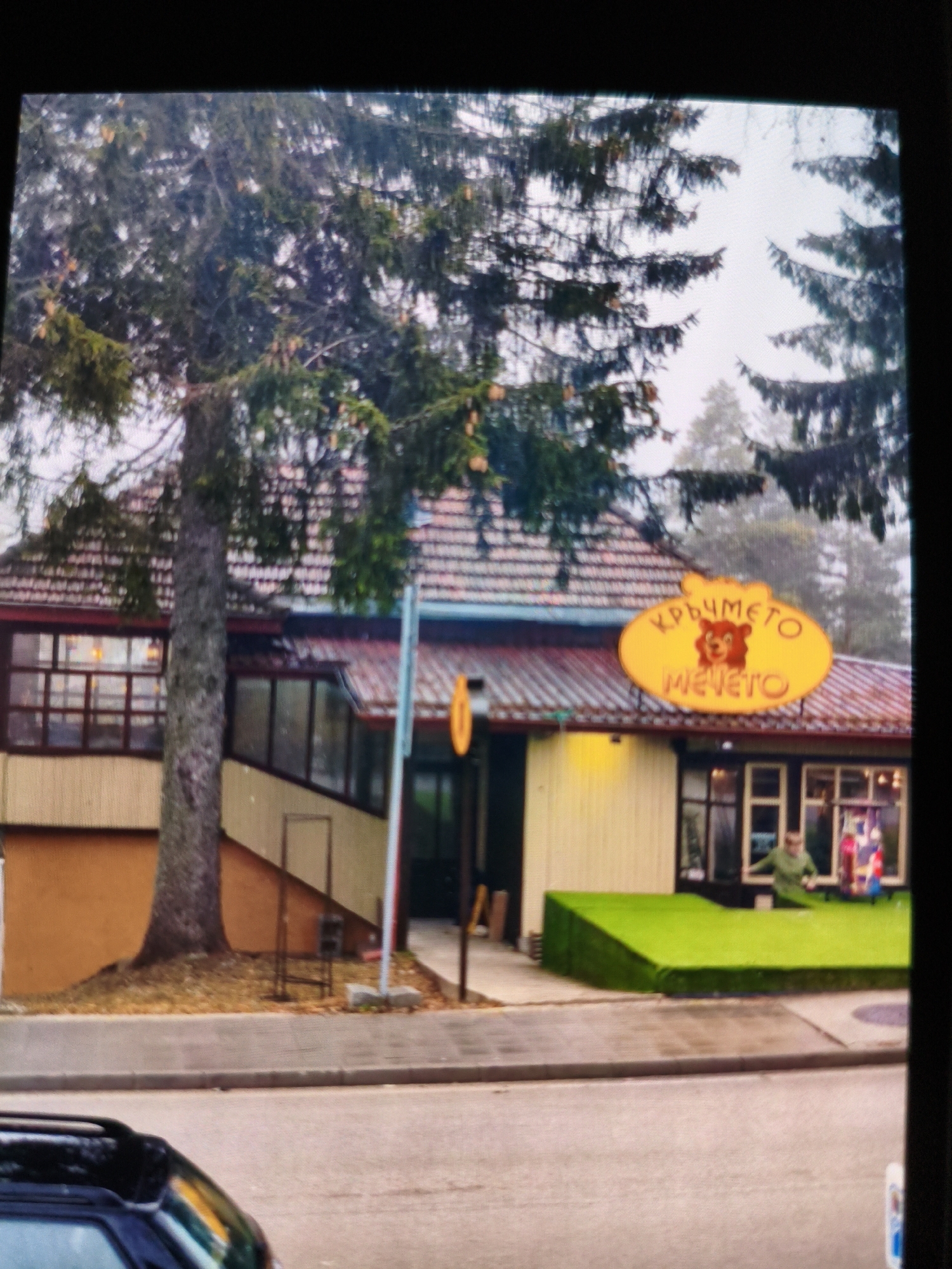 The image depicts a street scene in an unidentified city. A multi-level building with a tiled roof and a yellow sign that reads "КРЪЧМЕТО МЕЧЕТО" (which appears to be in Cyrillic script and likely Bulgarian), featuring a bear graphic, is visible. The building has a combination of tan and yellow-painted walls with multiple windowed sections. A tree stands prominently in front of the building, obscuring some parts. A raised green platform, potentially artificial turf, lines the base of the building. There is an individual in a green jacket visible through a window. A car with a roof rack is parked in the foreground. The street is wet, suggesting recent rain.
