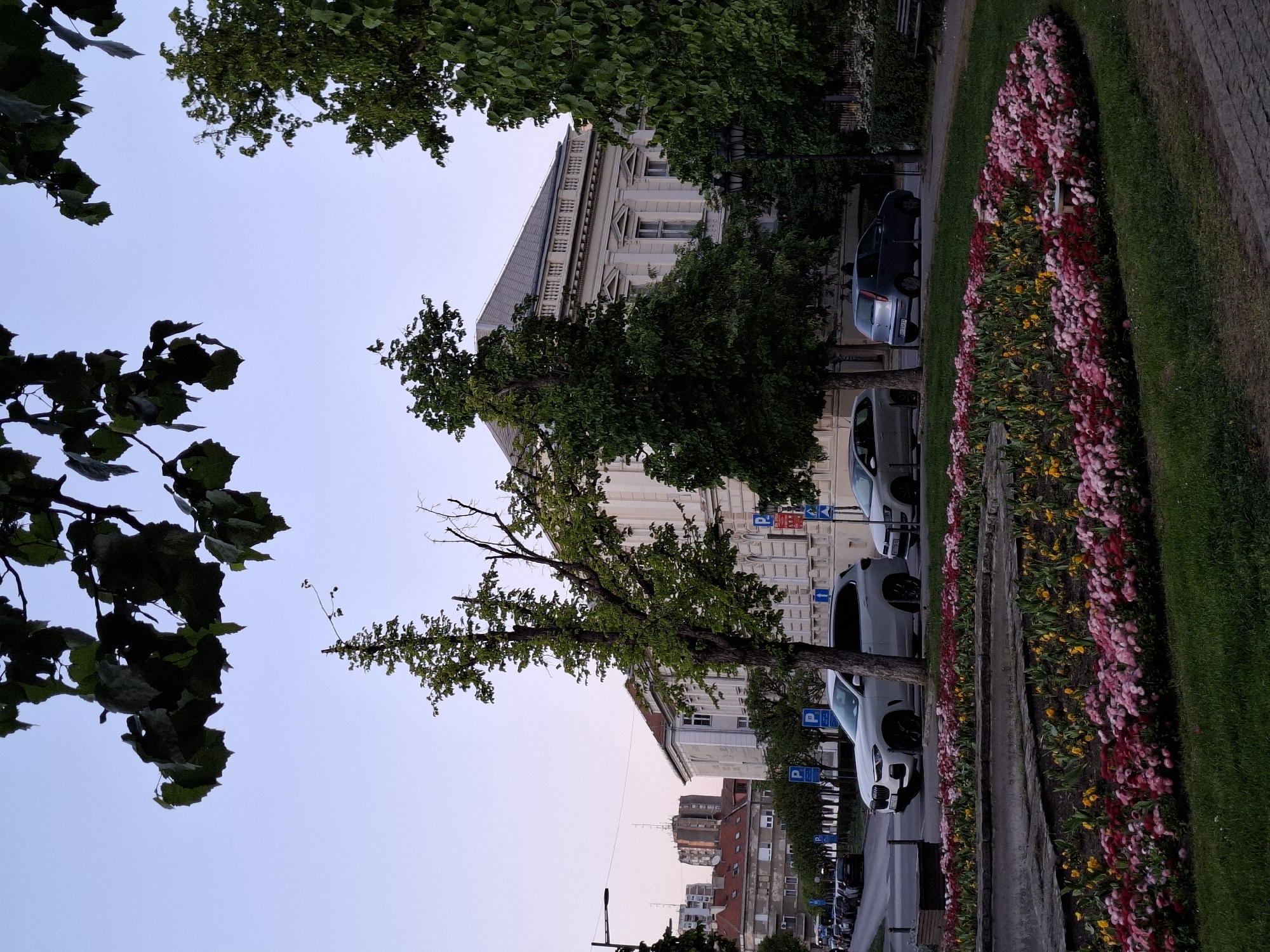 This image depicts a serene urban street scene in Novi Sad, Serbia, viewed from a slightly upward perspective. The scene is primarily composed of architectural elements, lush greenery, and parked vehicles, set under a clear sky.
In the mid-ground, a grand, light-colored historic building with classical architectural details stands prominently. It features ornate windows, decorative pilasters, and a balustraded roofline. Several trees with dense green foliage partially obscure the building, adding a natural frame to the urban setting.
Along the right side of the frame, a long, vibrant flower bed stretches, bursting with pink, red, and yellow blossoms, flanked by a neat strip of green grass and a paved path. To the left of the flower bed, a street runs parallel, where several cars of various models and colors (including white and dark blue) are parked.
Numerous blue parking signs with a white 'P' symbol are visible along the street, some featuring directional arrows. One sign clearly indicates "00-24," signifying continuous parking availability. In the distance, beyond the main building, other residential buildings with red-tiled roofs and multiple windows contribute to the city skyline.
The time of day appears to be either early morning or late afternoon, characterized by soft, ambient lighting and a clear, light blue sky with no clouds. No people are visible, and no specific activity is taking place, creating a tranquil and unhurried atmosphere. The overall impression is that of a well-maintained and peaceful European city street.