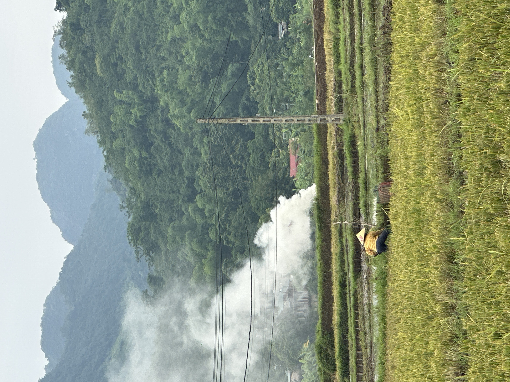 In Mai Chau, Vietnam, a farmer wearing a conical hat and a yellow shirt works in a rice paddy. The field is mostly harvested, with green and yellow stubble. The farmer is bent over, possibly gathering the remaining stalks or preparing for the next planting. In the background, a concrete utility pole with wires stands tall, and further back, a plume of white smoke rises from a cluster of buildings nestled amongst lush green trees and rolling hills. The sky is overcast and hazy, suggesting a muted light.