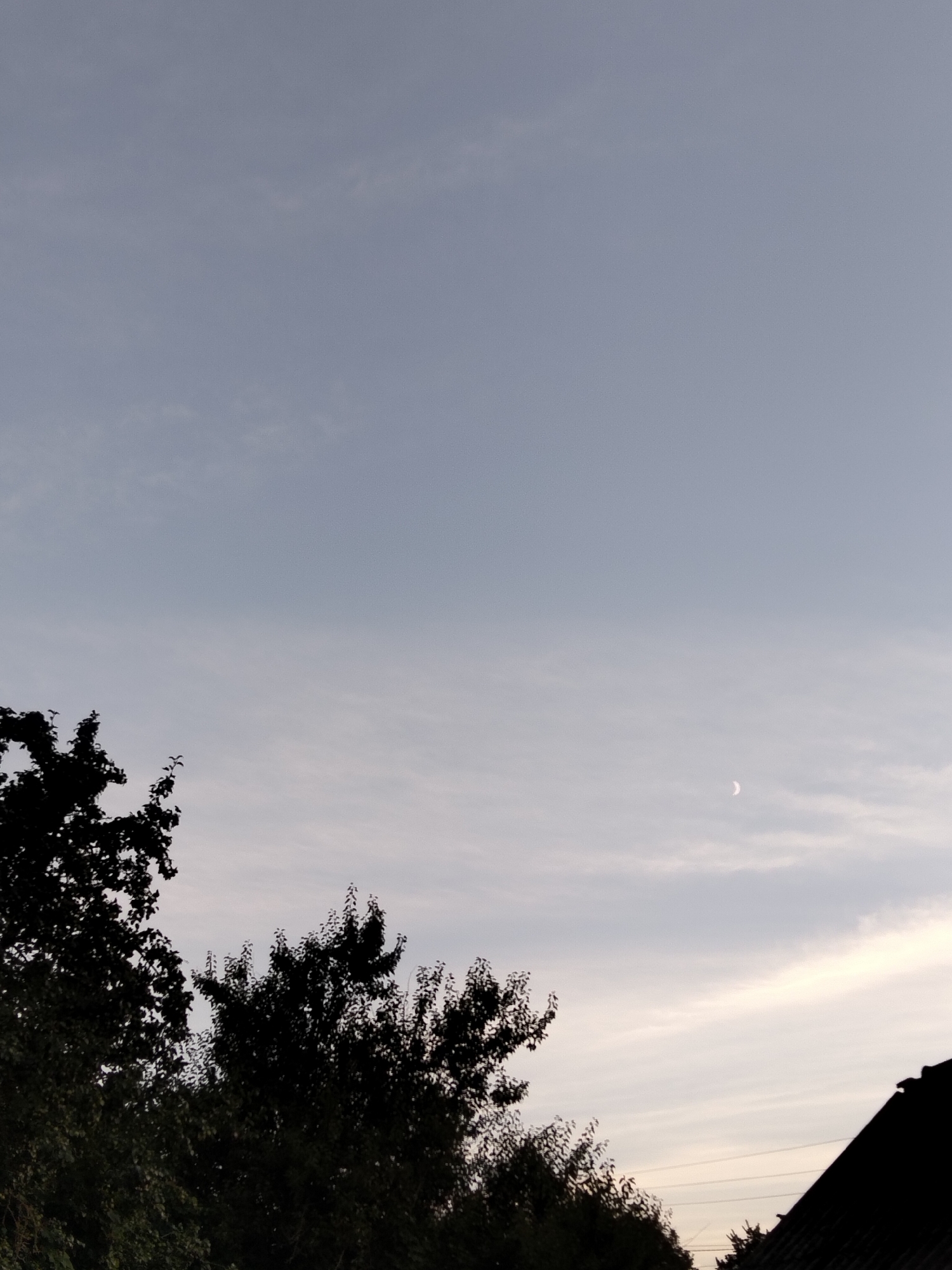 The image captures a serene twilight sky over Ustyvytsia, Ukraine. The sky is a soft gradient of pale blue and grey, with thin, wispy clouds stretching across it. A faint crescent moon is visible in the upper right quadrant of the sky. In the foreground, the silhouettes of lush green trees dominate the lower left and center portions of the frame. Their dark foliage contrasts sharply with the lighter sky, creating a sense of depth. To the right, the dark, angular silhouette of a rooftop, likely belonging to a residential building, emerges from the bottom right corner, suggesting the presence of human habitation within the otherwise natural landscape. The overall impression is one of a peaceful evening in a rural or semi-rural setting.