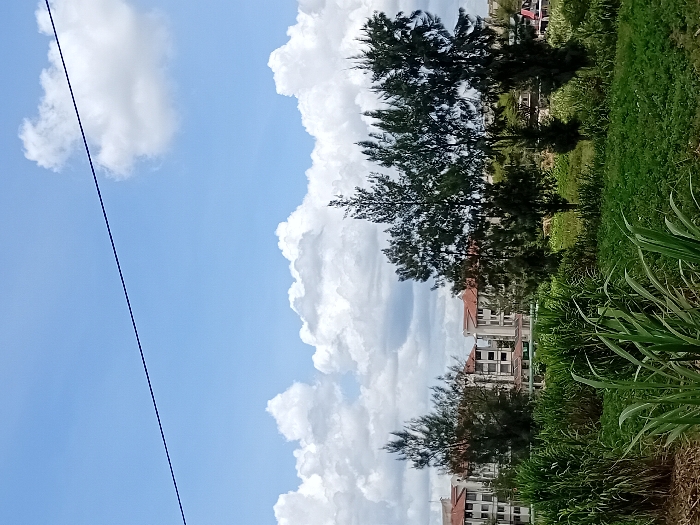 The image shows a view of a grassy field with a few trees in front of a group of multi-story apartment buildings. The apartment buildings are located in Athi River, Kenya, at the coordinates -1.433 latitude, 36.983 longitude. The sky is bright blue with a few fluffy white clouds. There is a single power line running across the sky. The field is covered in tall green grass and the trees have dark green needles. There are no people or animals visible in the image.