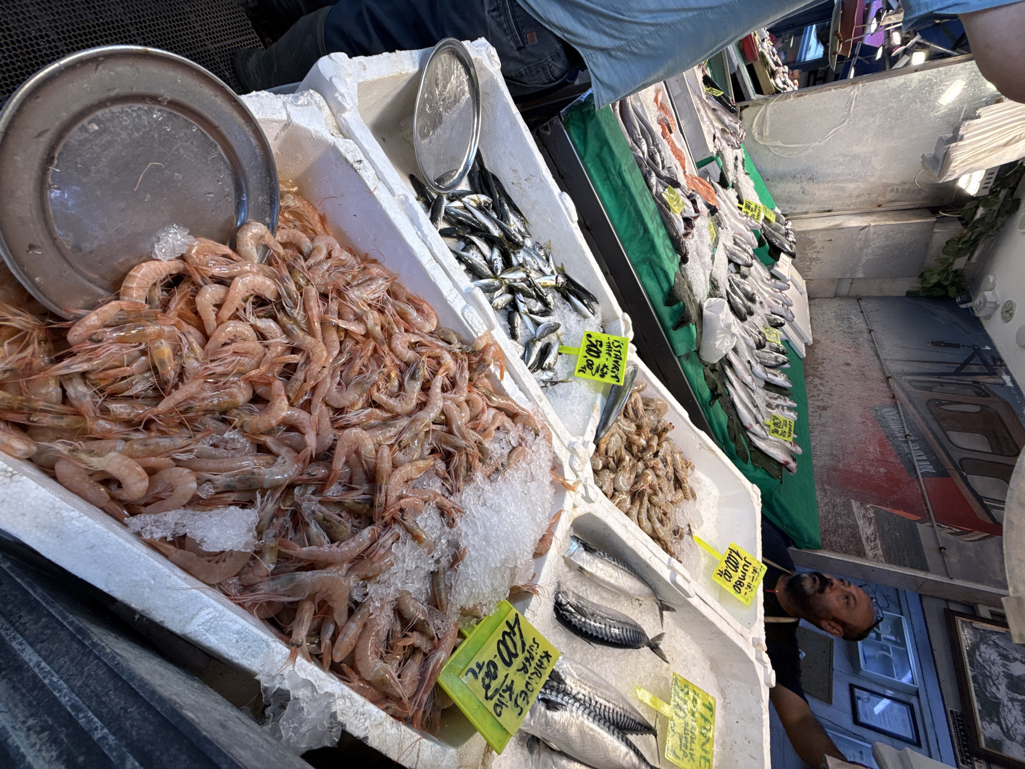 A man stands behind a fish stall in Kadıköy, Turkey, with various seafood displayed in white styrofoam containers. In the foreground, a large quantity of pink shrimp is piled on ice. To the right of the shrimp, a fish with distinctive stripes is visible, also on ice. Further back, a container holds smaller fish, possibly sardines, mixed with ice. Behind these containers, a selection of larger fish, laid out on a green surface, are also displayed. The background features a mural of a red boat and shelves stocked with framed pictures. The man is wearing a dark shirt and an apron. A person in a blue shirt and jeans is partially visible on the left side of the image, standing near the fish stall.