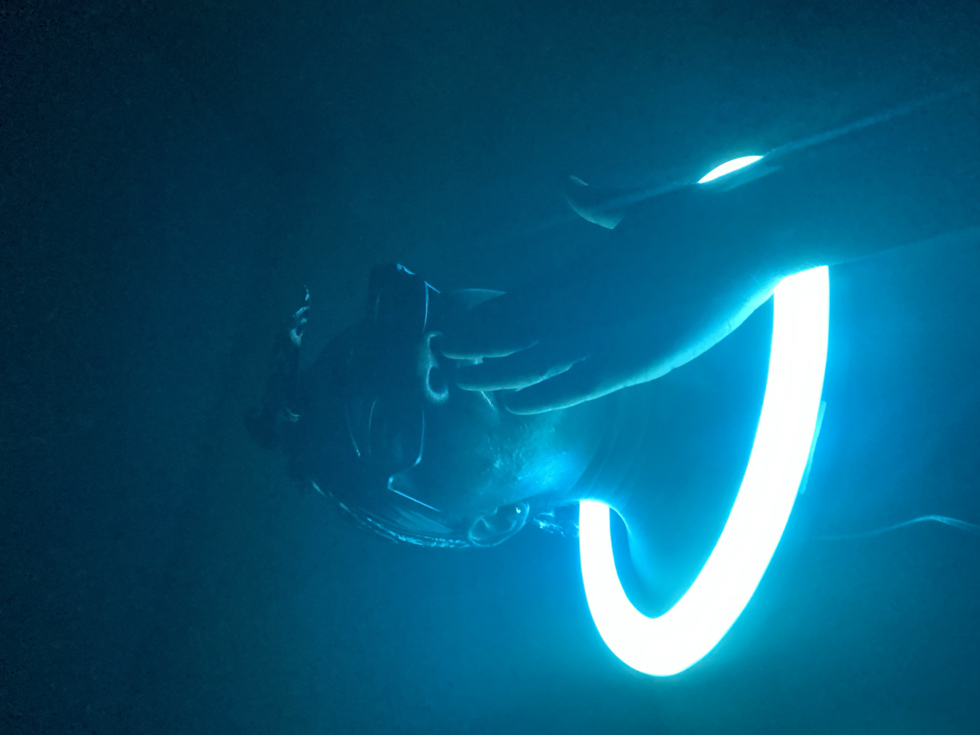 The image depicts a person immersed in a dark, blue-lit environment. The subject, whose head, face, and right hand are visible, appears to be wearing a dark, head-mounted device, possibly virtual reality goggles or similar futuristic eyewear. Their right hand is positioned near the device, suggesting interaction or adjustment.
A prominent, bright, C-shaped or U-shaped glowing light source, likely a neon tube or LED strip, arcs around the right side of the person's head and neck area, casting a strong, vibrant blue illumination across the scene. The overall setting is characterized by deep blue tones and shadows, implying a very dimly lit room or a nighttime environment where the artificial light sources are dominant. The background is a uniform, dark blue, offering no discernible details or textures.
The activity taking place appears to be an immersive technological experience, possibly gaming or a simulation, given the head-mounted device and the dramatic lighting. There are no specific cues to indicate the exact time of day or weather, but the darkness points to an indoor or nocturnal setting. The location context of Maigizo, Nigeria, is provided, but no visual elements in the image specifically identify this location. No text is visible in the image. The image is oriented such that the person's head is tilted to the left, and the glowing light is on the right side of the frame.